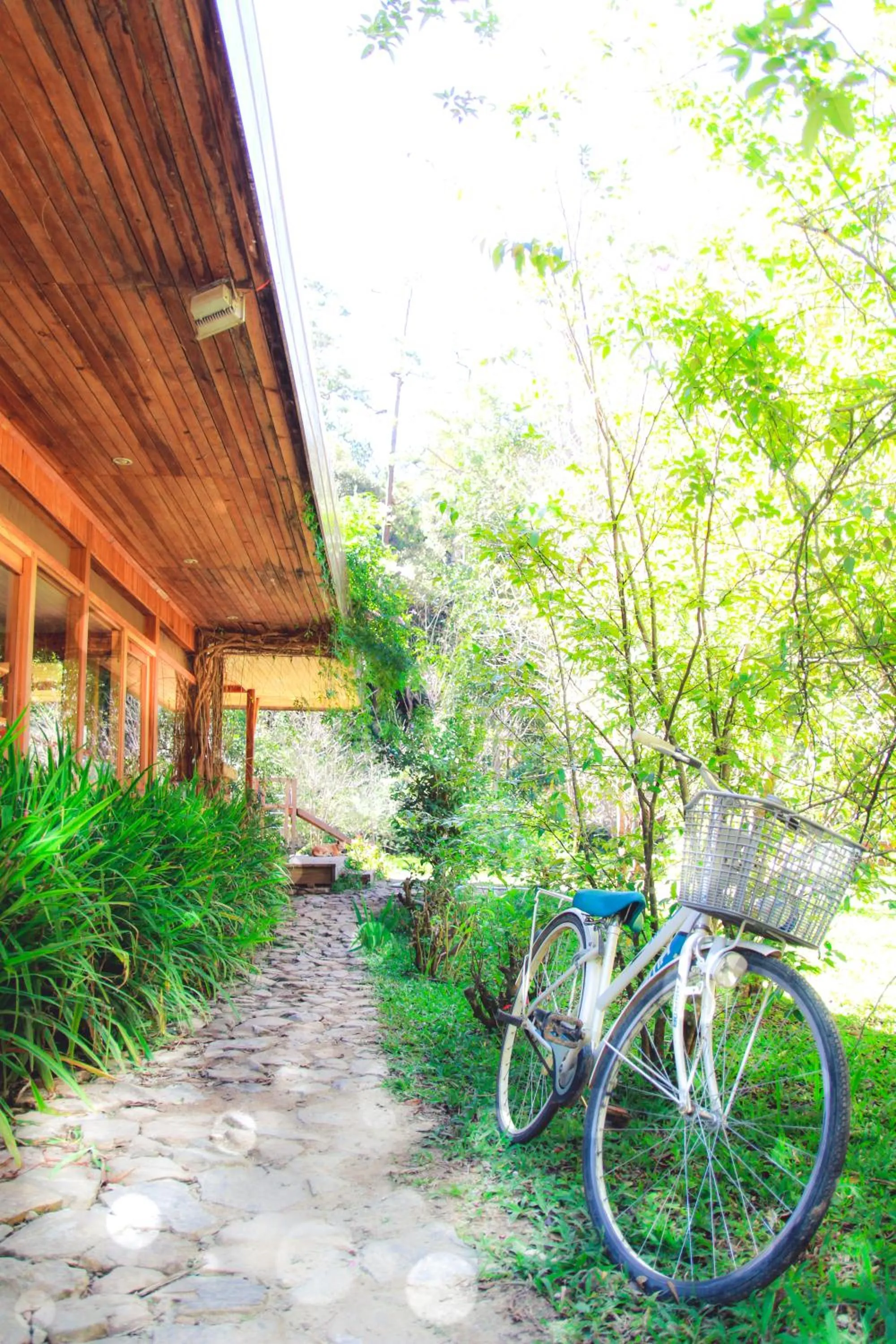 LAAN Retreat-DaLat