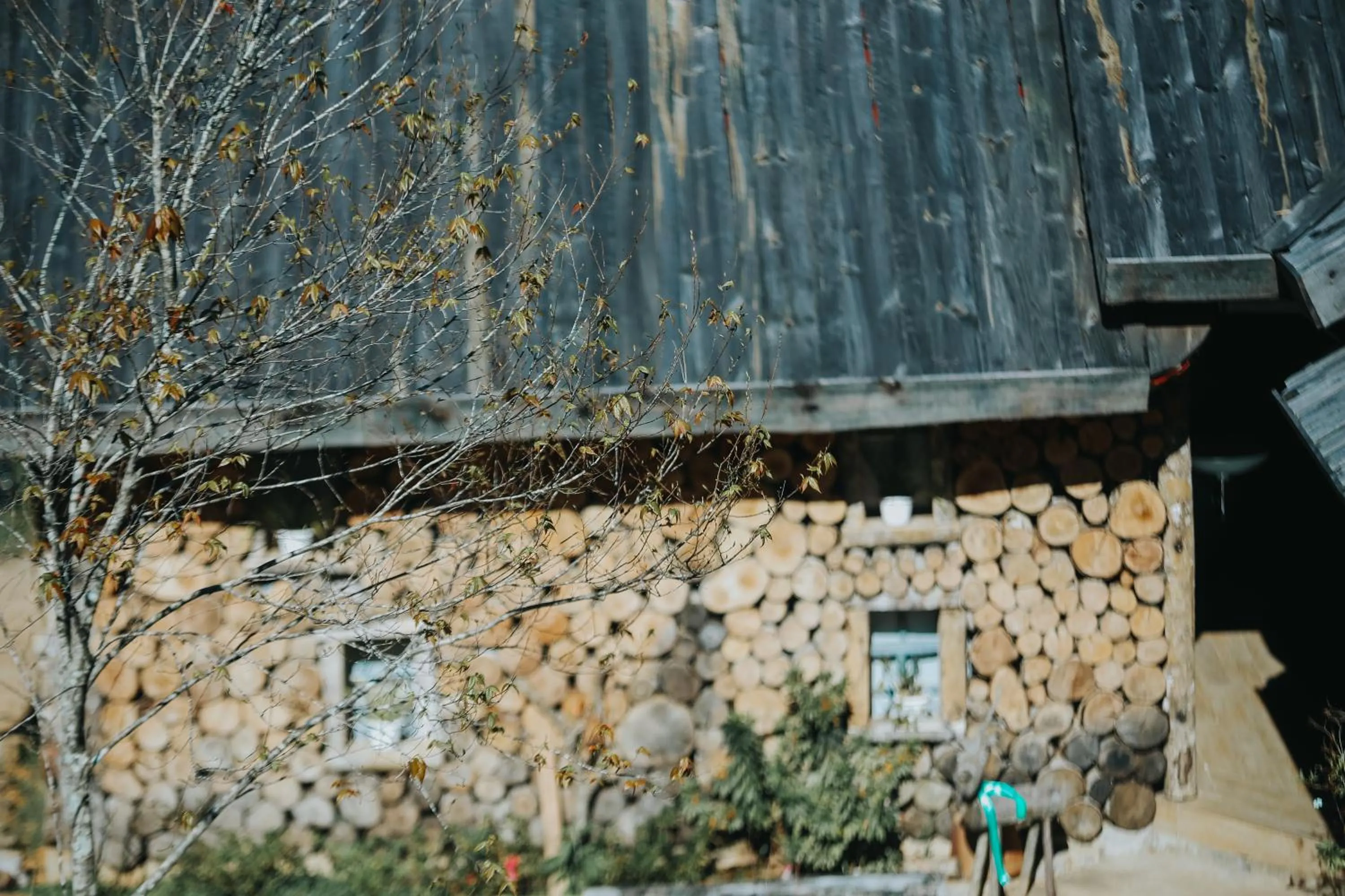 LAAN Retreat-DaLat