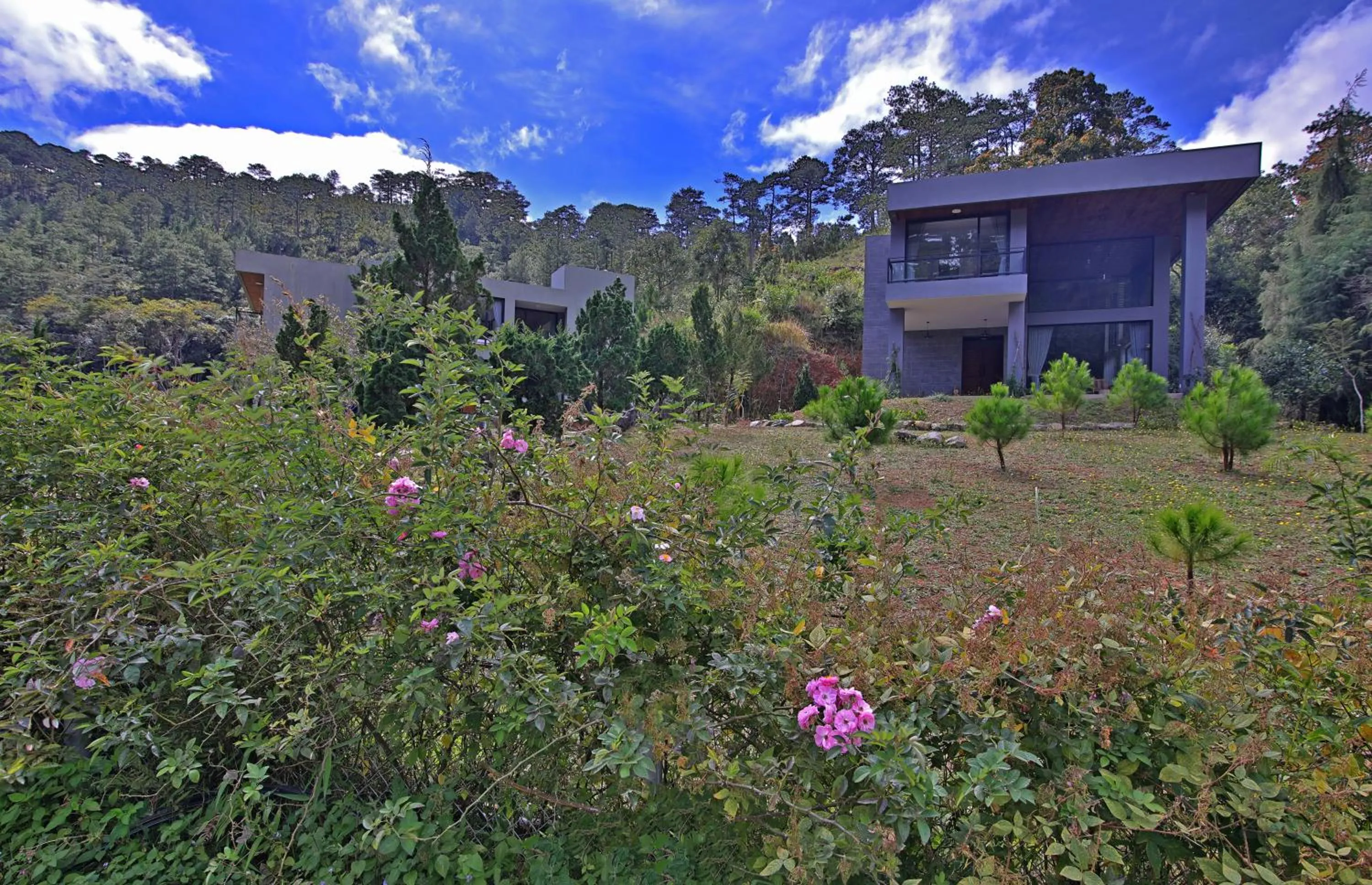 LAAN Retreat-DaLat