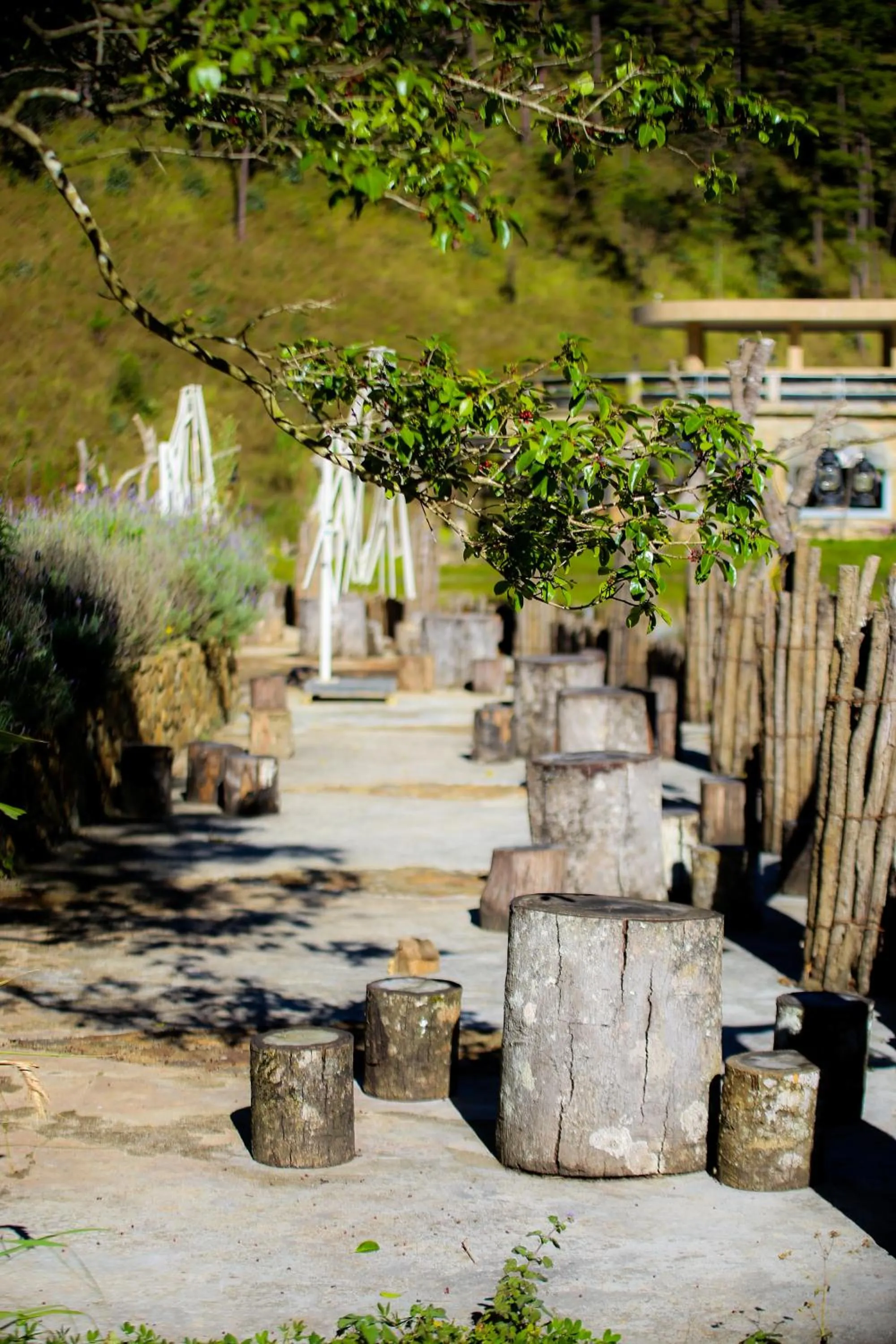 LAAN Retreat-DaLat