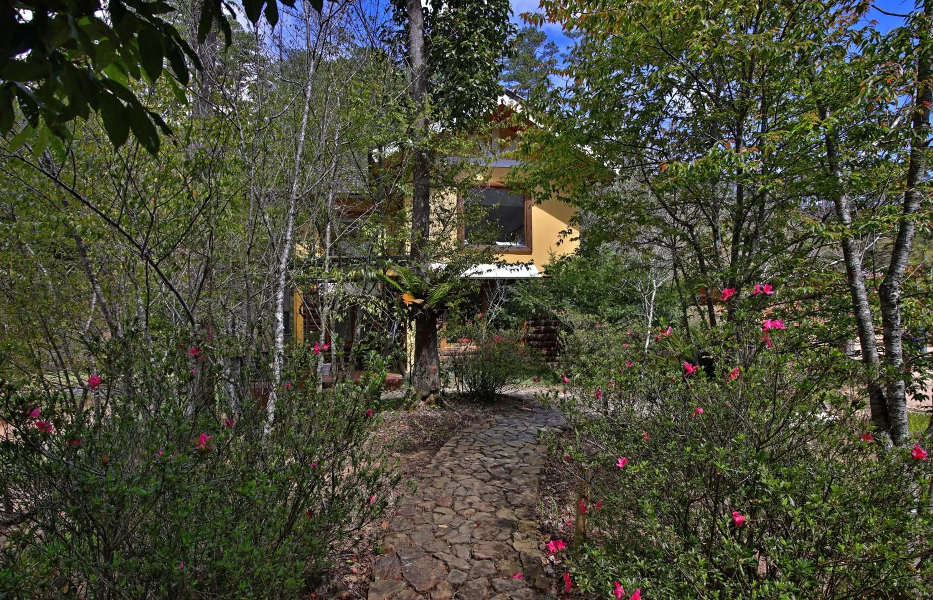 LAAN Retreat-DaLat