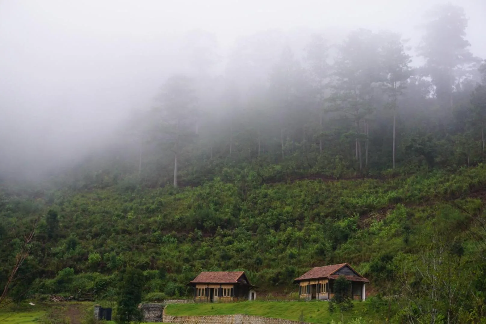 LAAN Retreat-DaLat