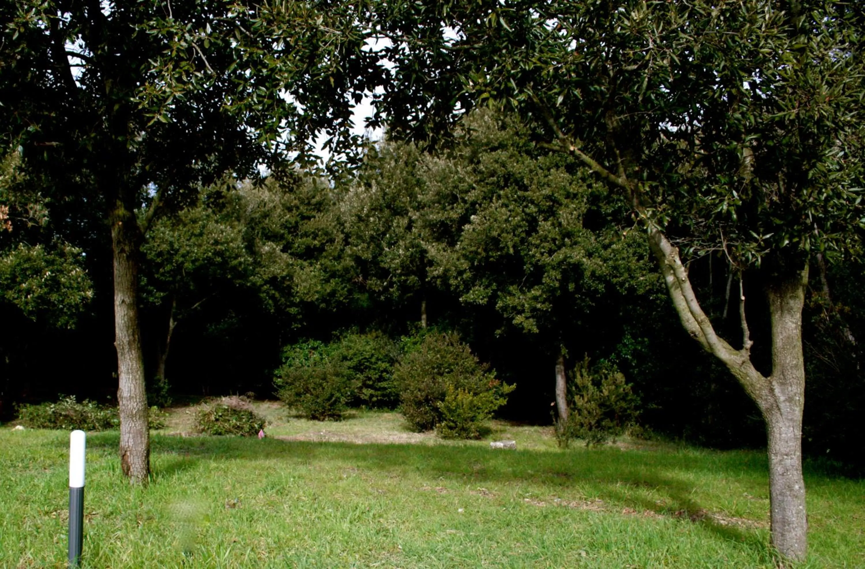 Bird's eye view in Villa Liburnia