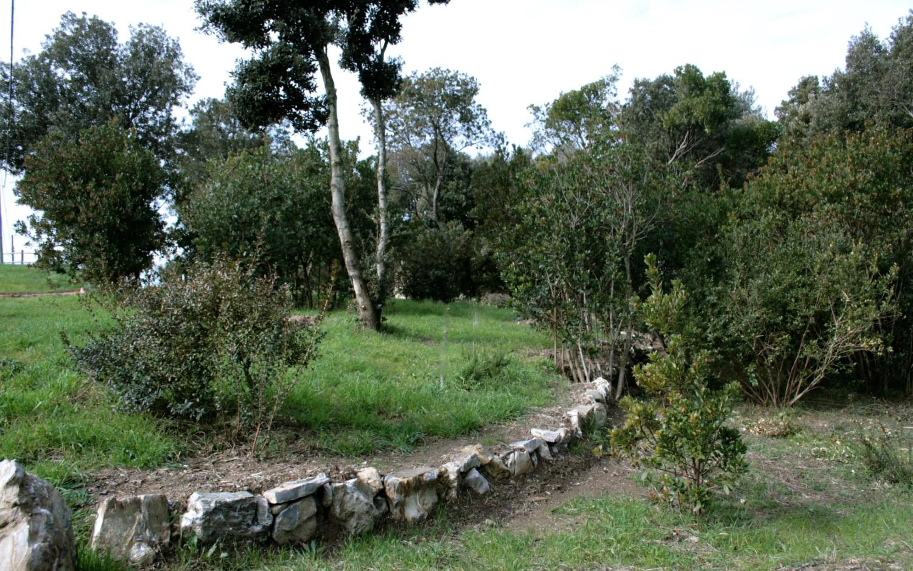 Garden view in Villa Liburnia