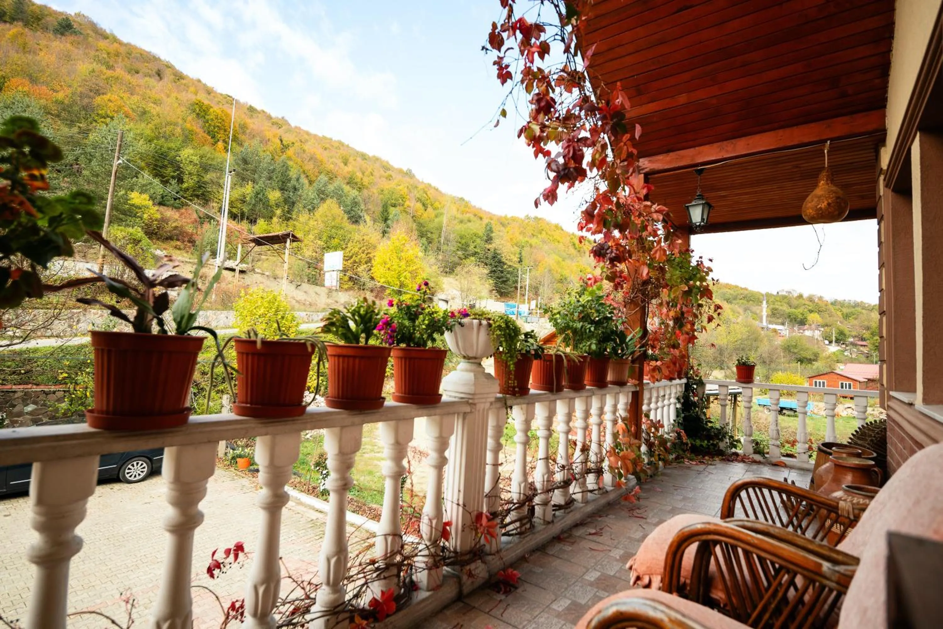 View (from property/room) in Abant Doğa Köşkü