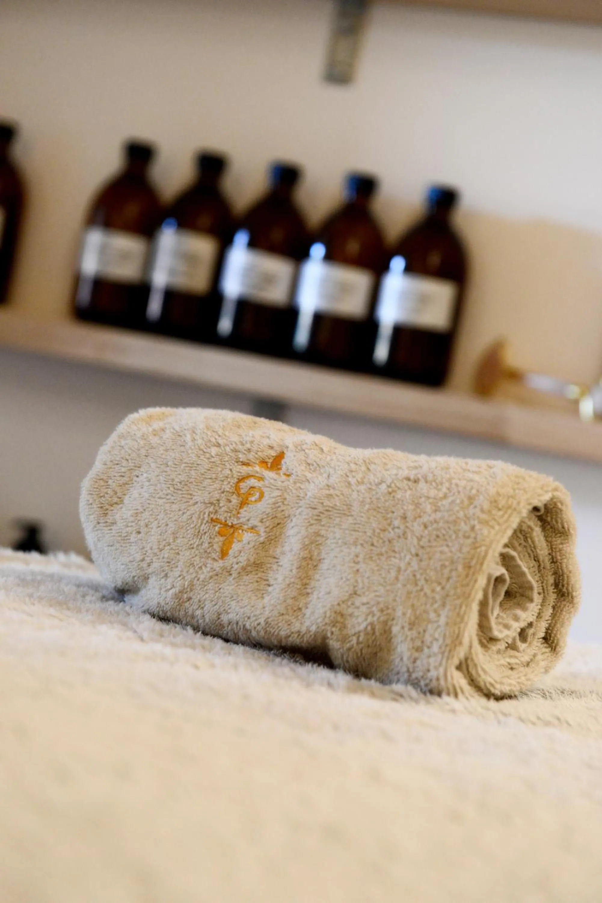 Spa and wellness centre/facilities in Château de Pondres