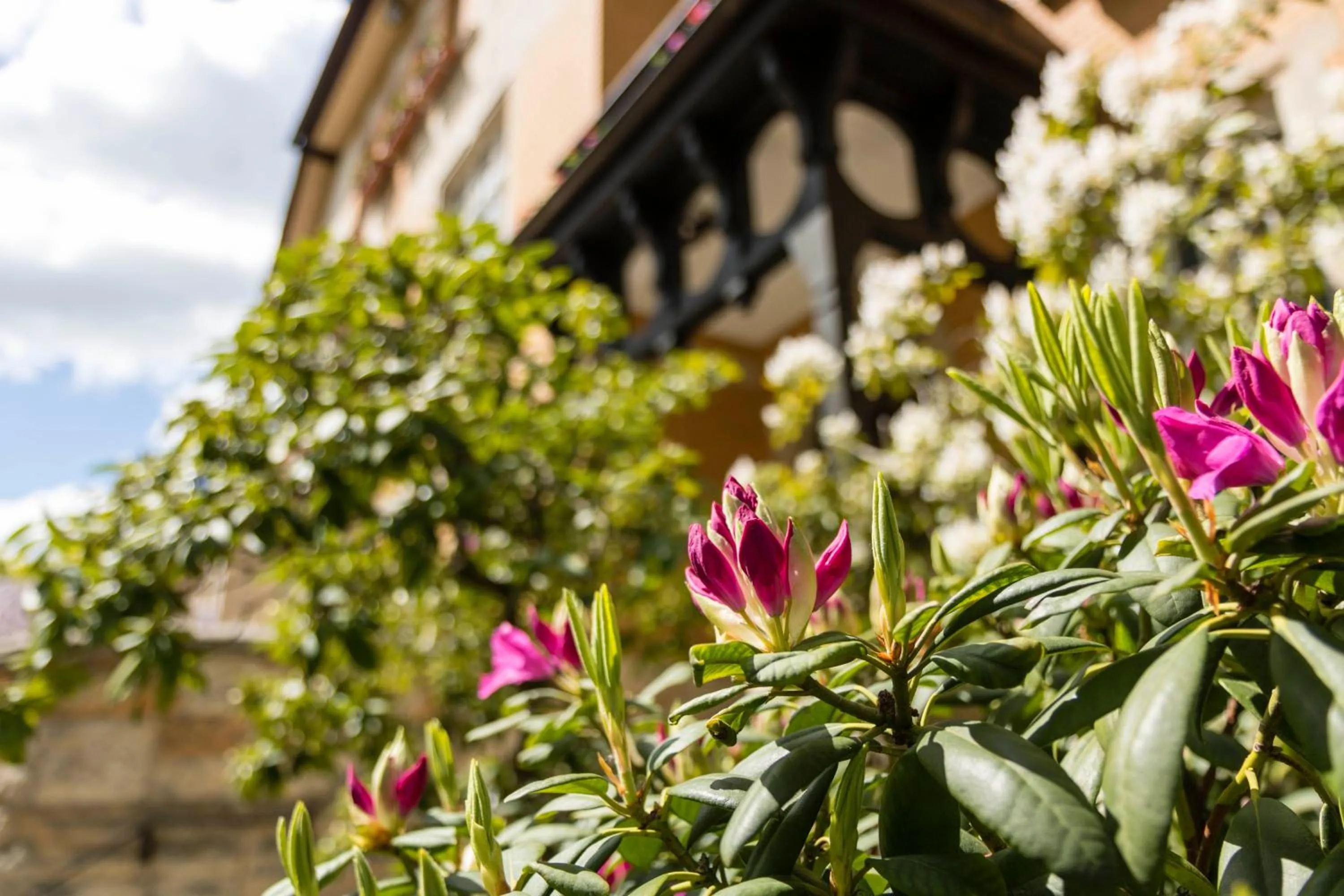 Garden in Gästehaus Musmann