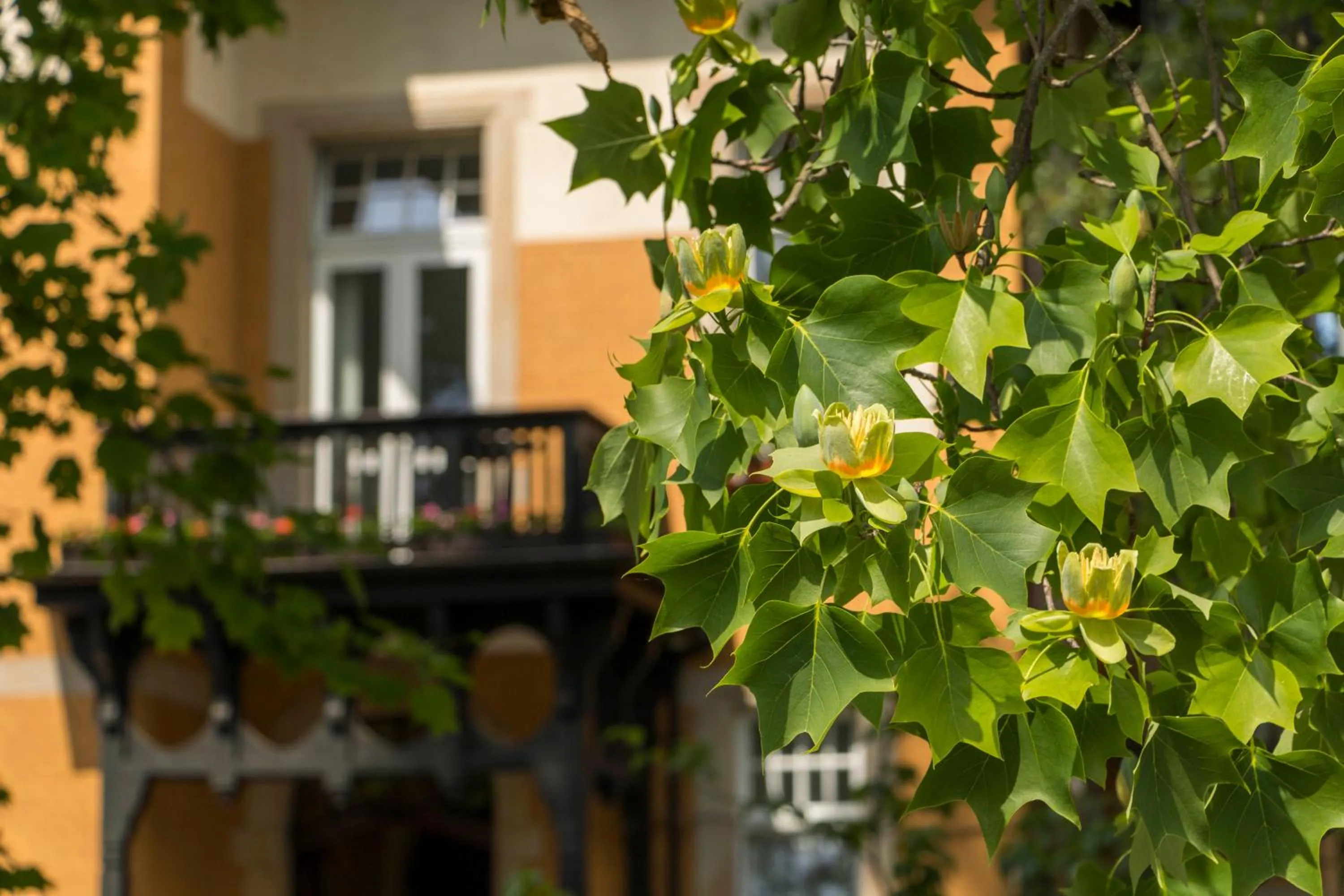 Garden in Gästehaus Musmann