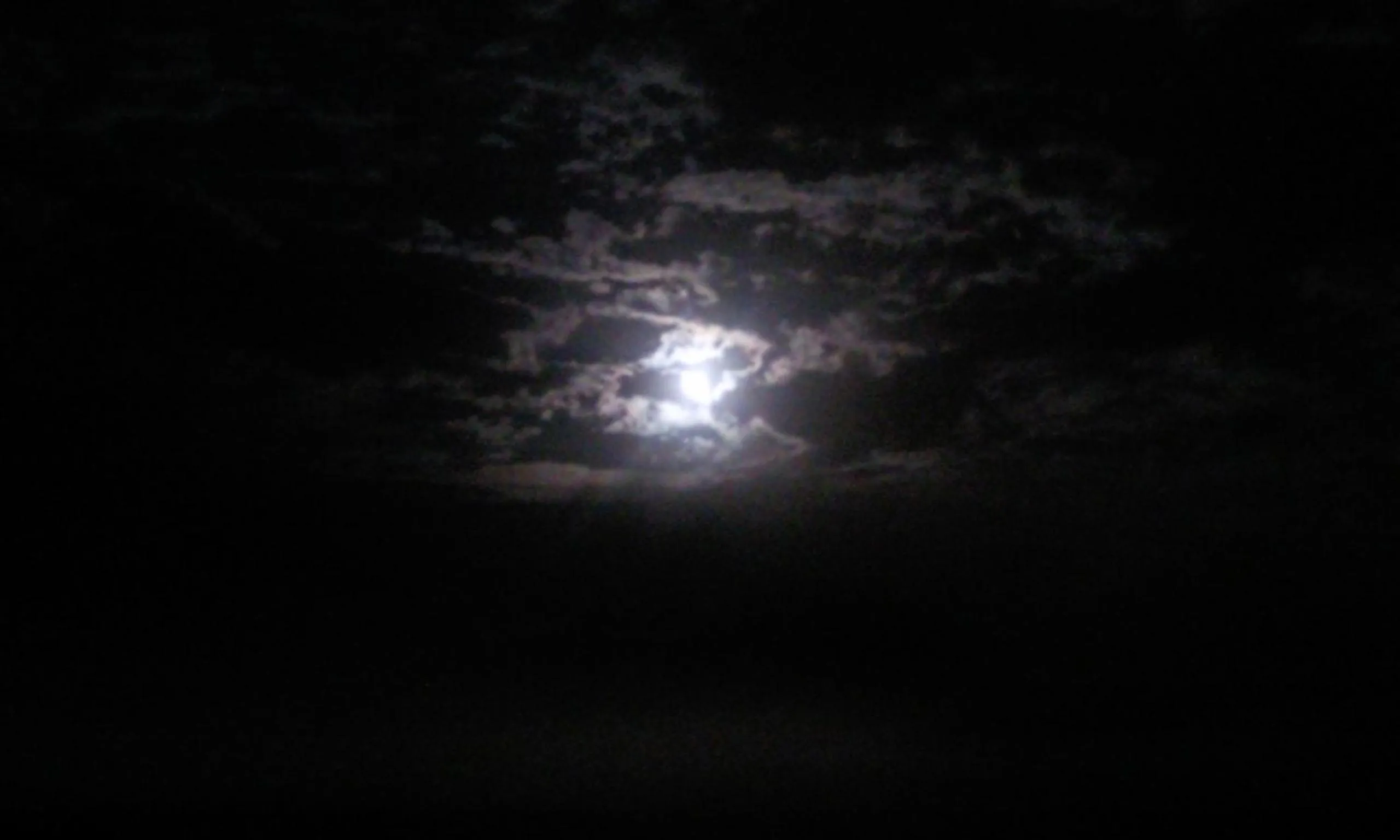Night in Protea Wilds Retreat