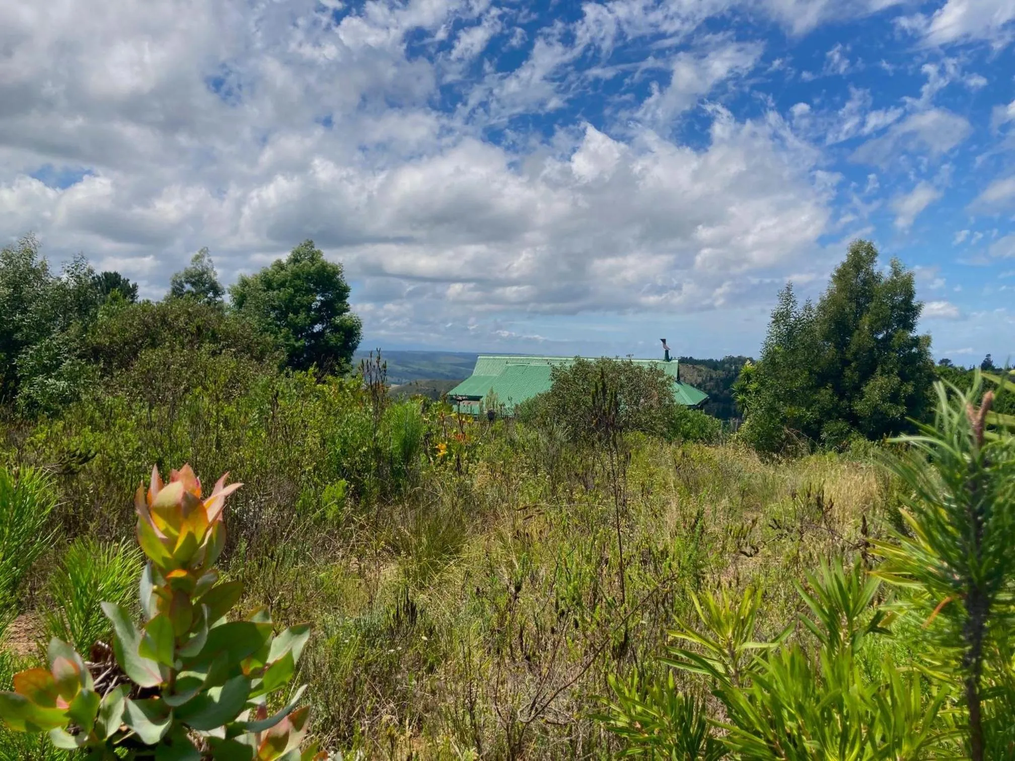 Natural landscape in Protea Wilds Retreat