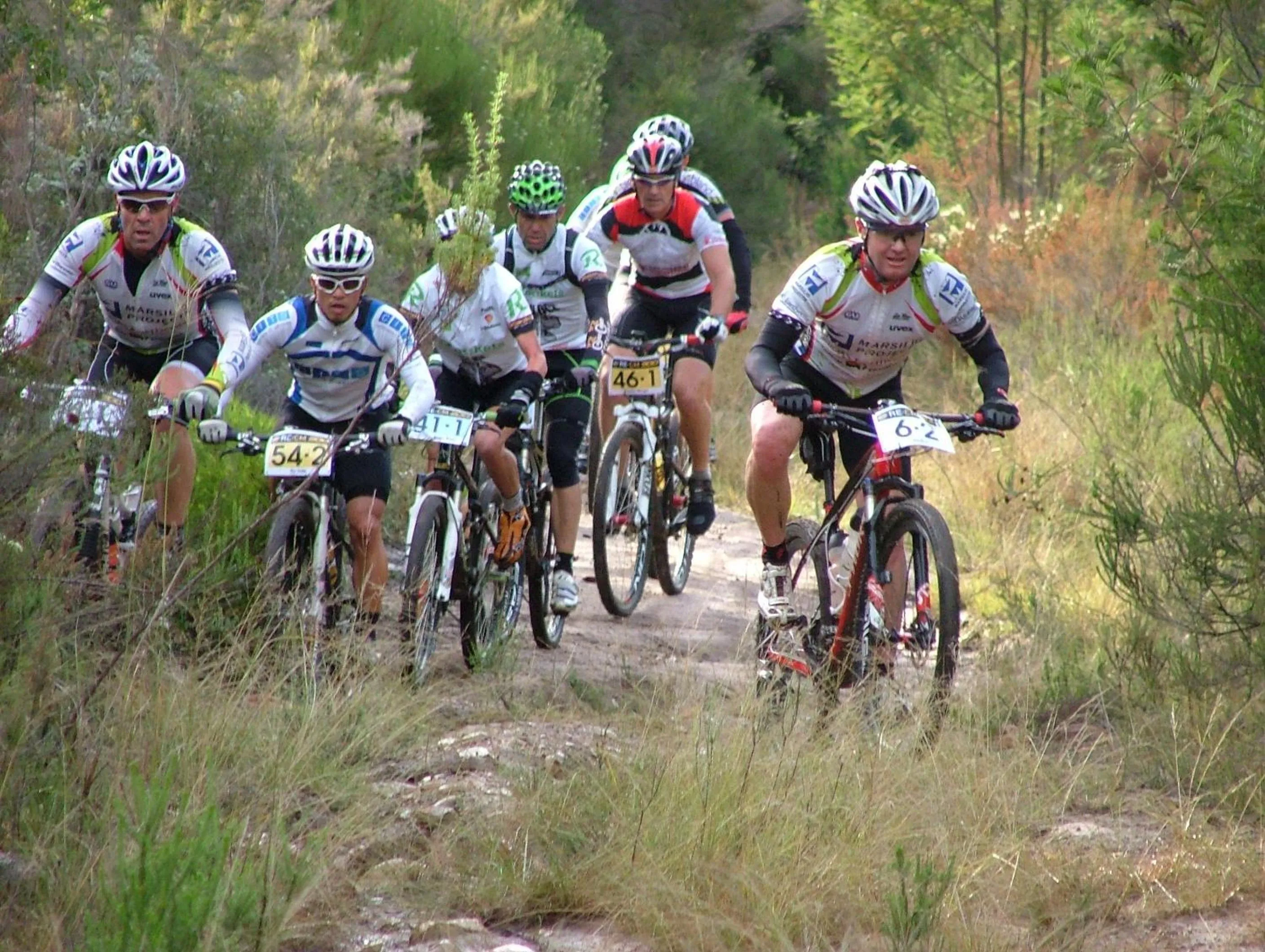Natural landscape in Protea Wilds Retreat