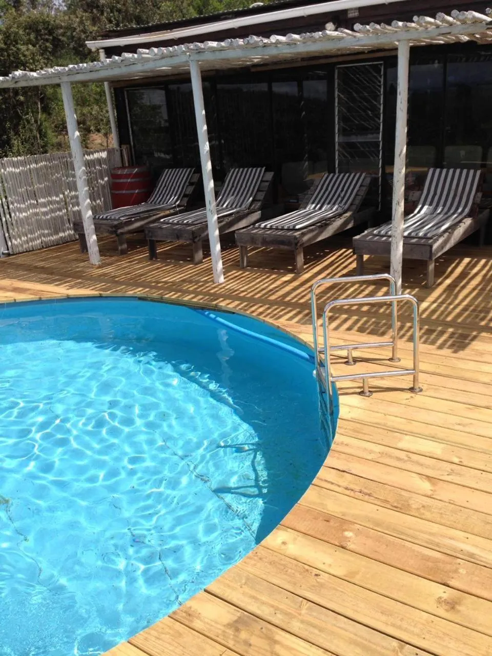 Pool view in Protea Wilds Retreat