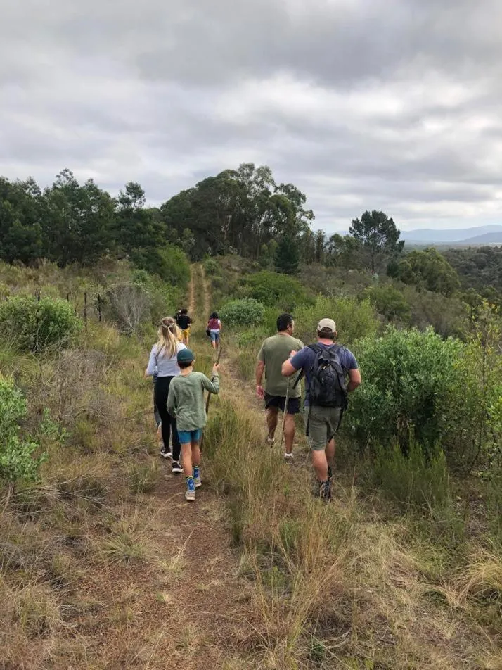 Natural landscape in Protea Wilds Retreat