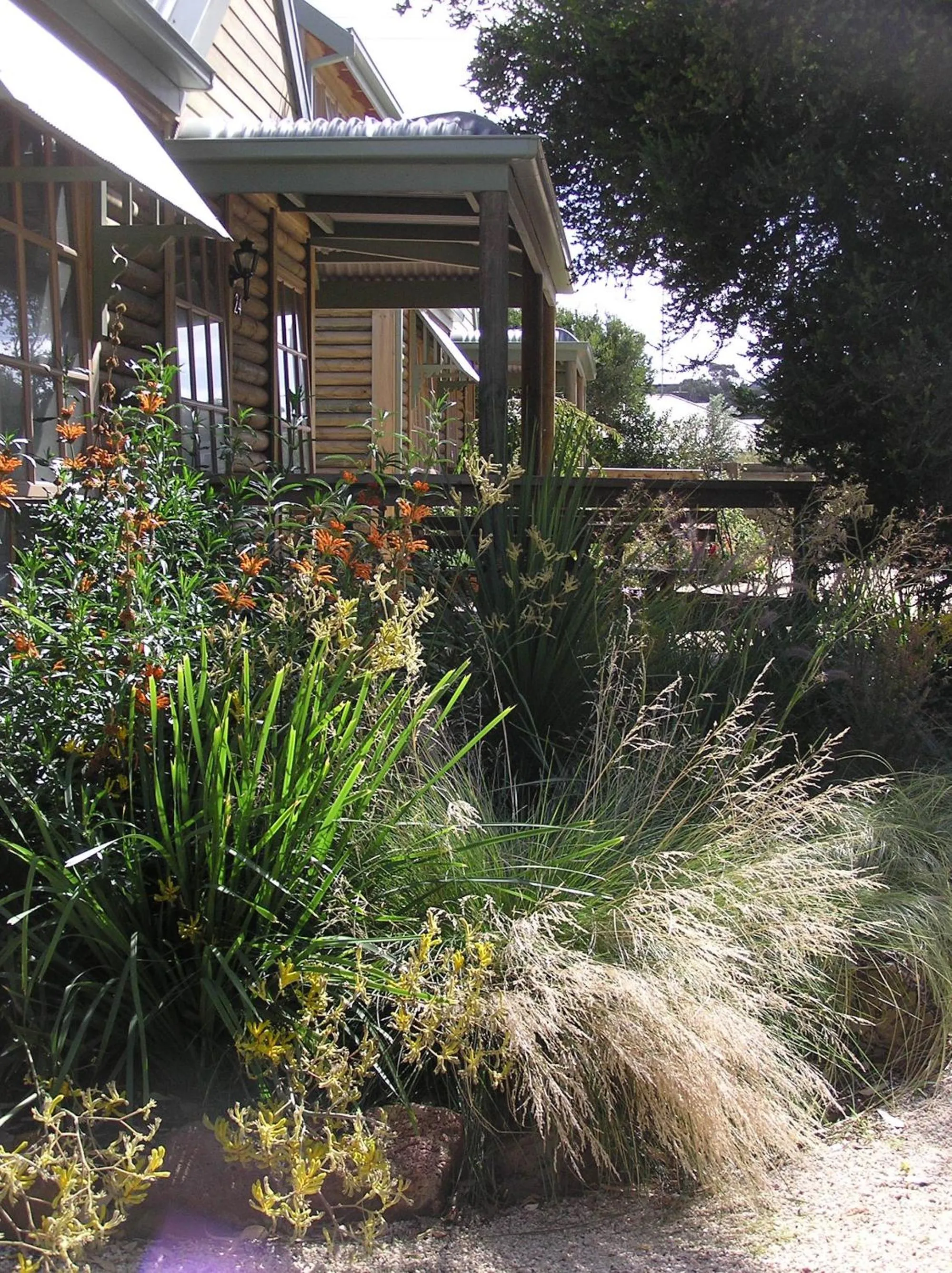 Garden in Ti-Tree Village