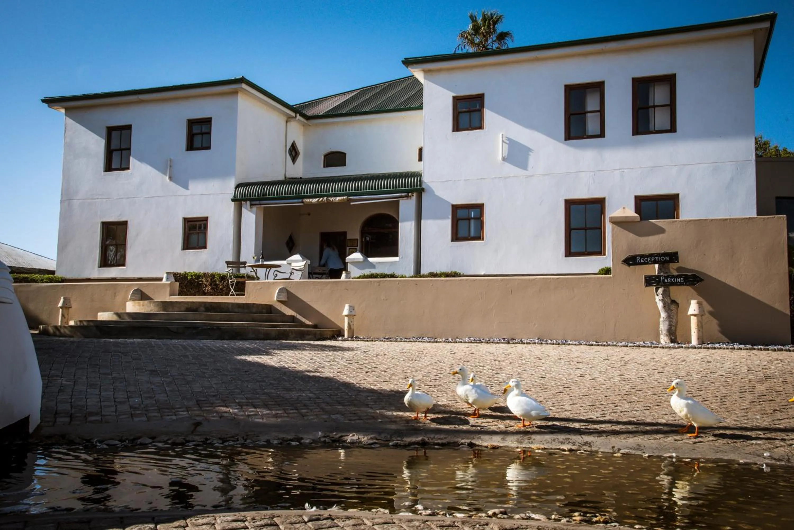 Property building in Grootvlei Guest Farm