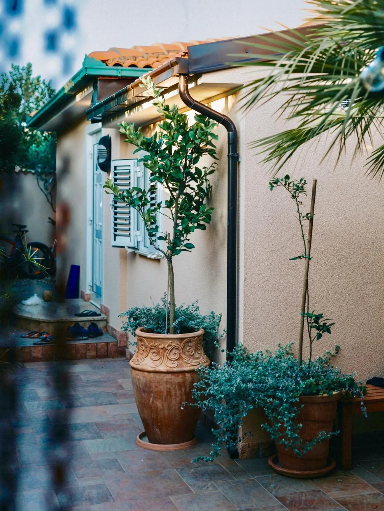 Patio in Villa Lantana