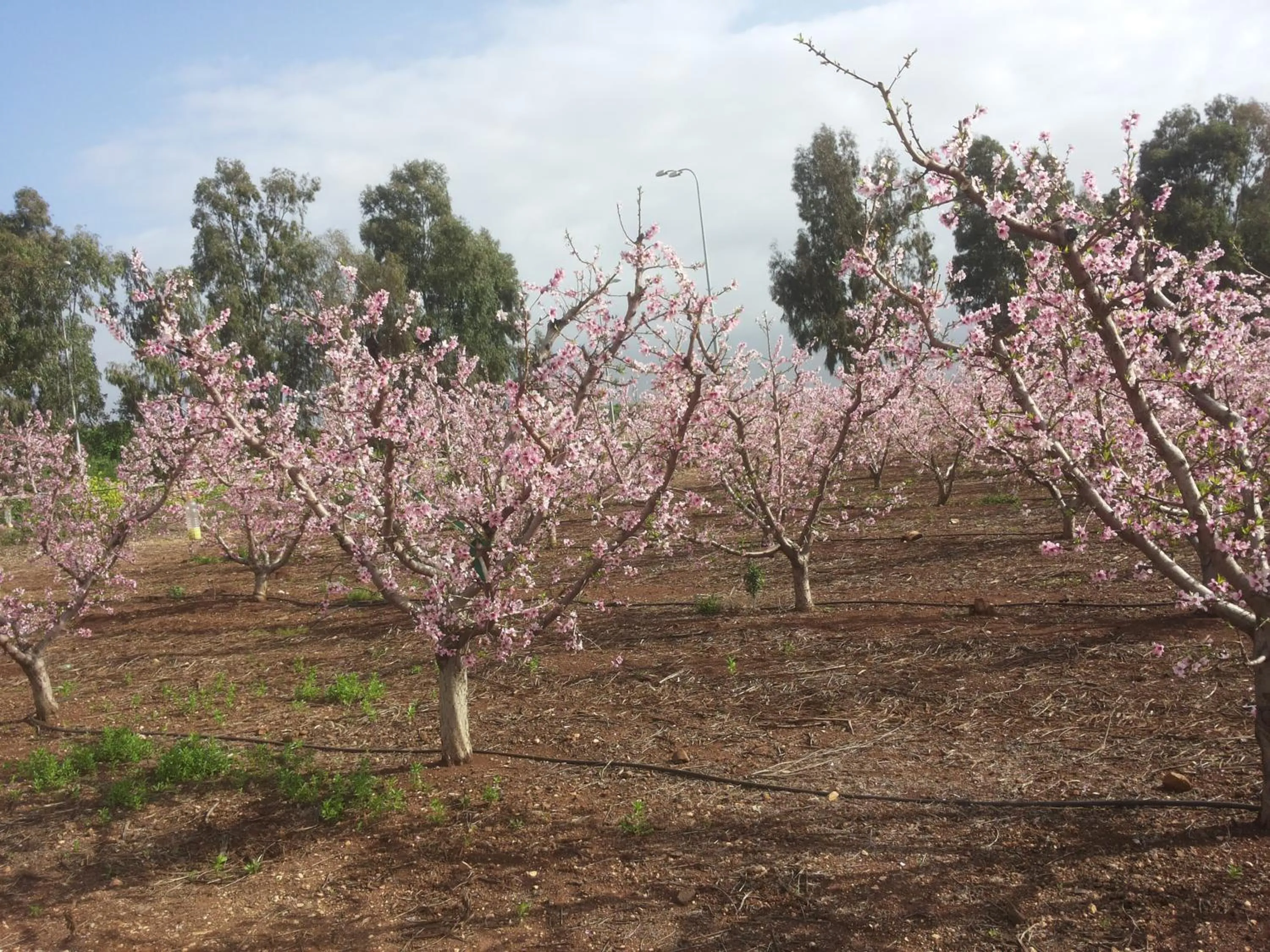Natural landscape in Orna's Corner