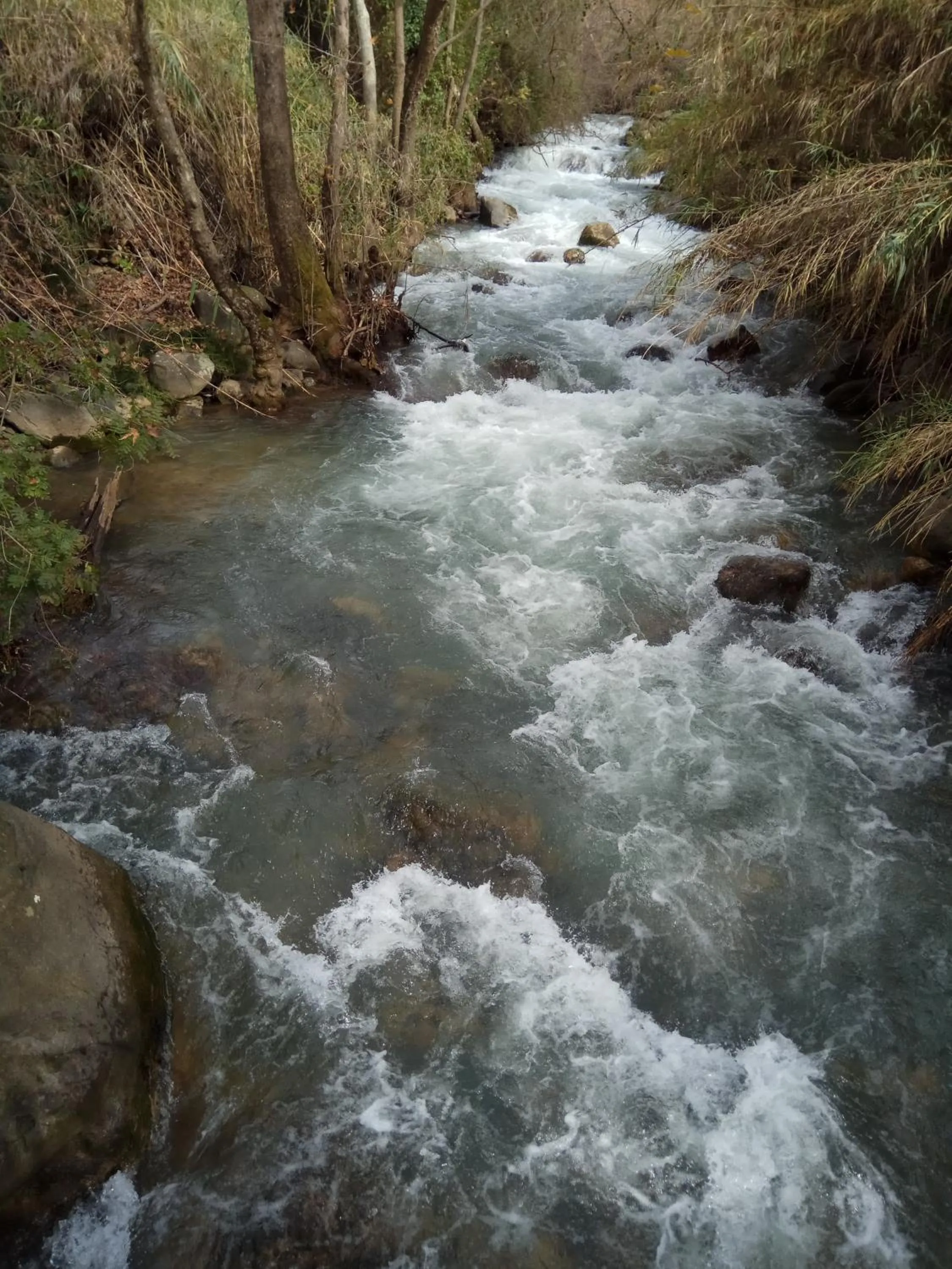 Natural landscape in Orna's Corner