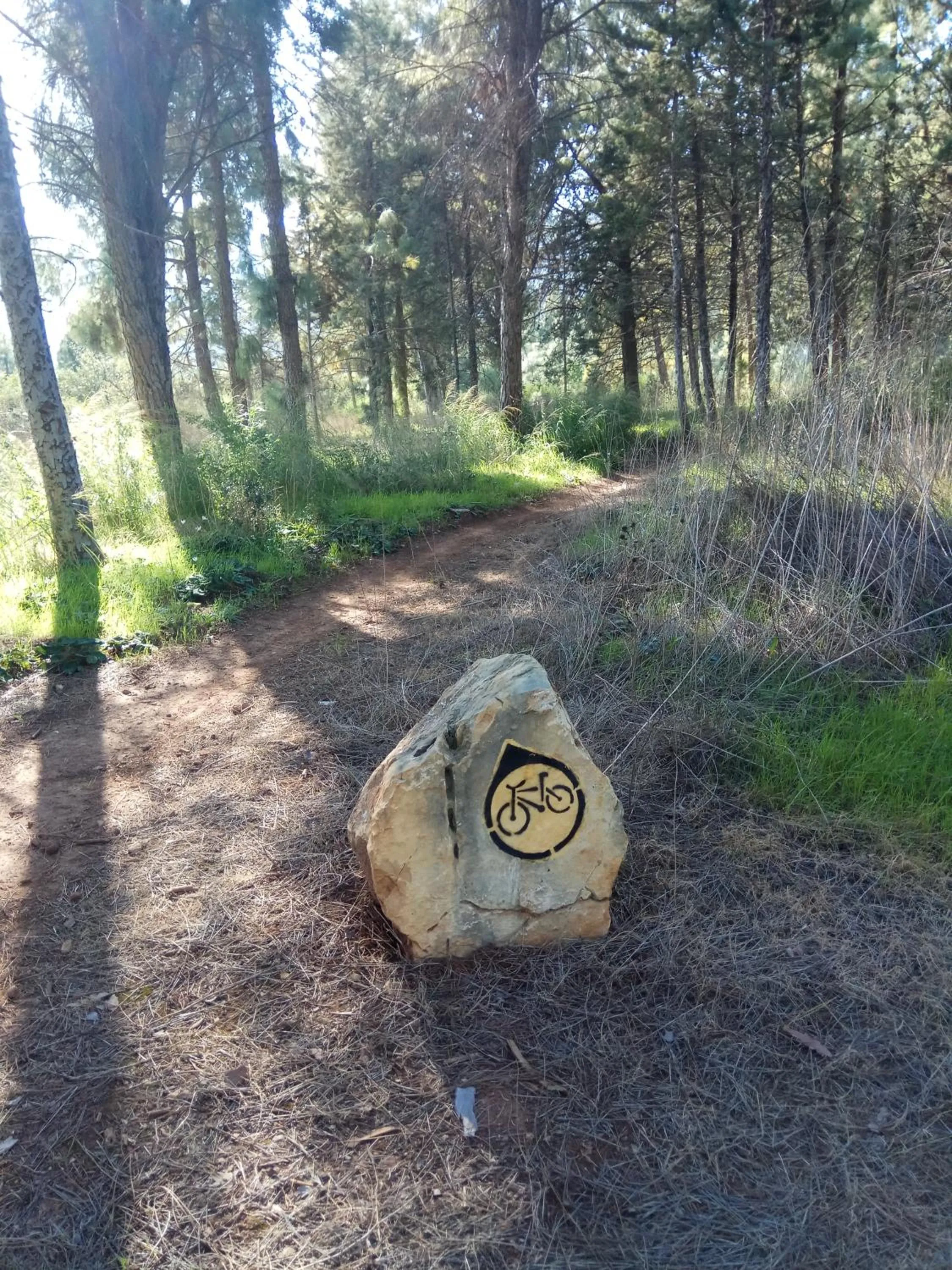 Cycling in Orna's Corner