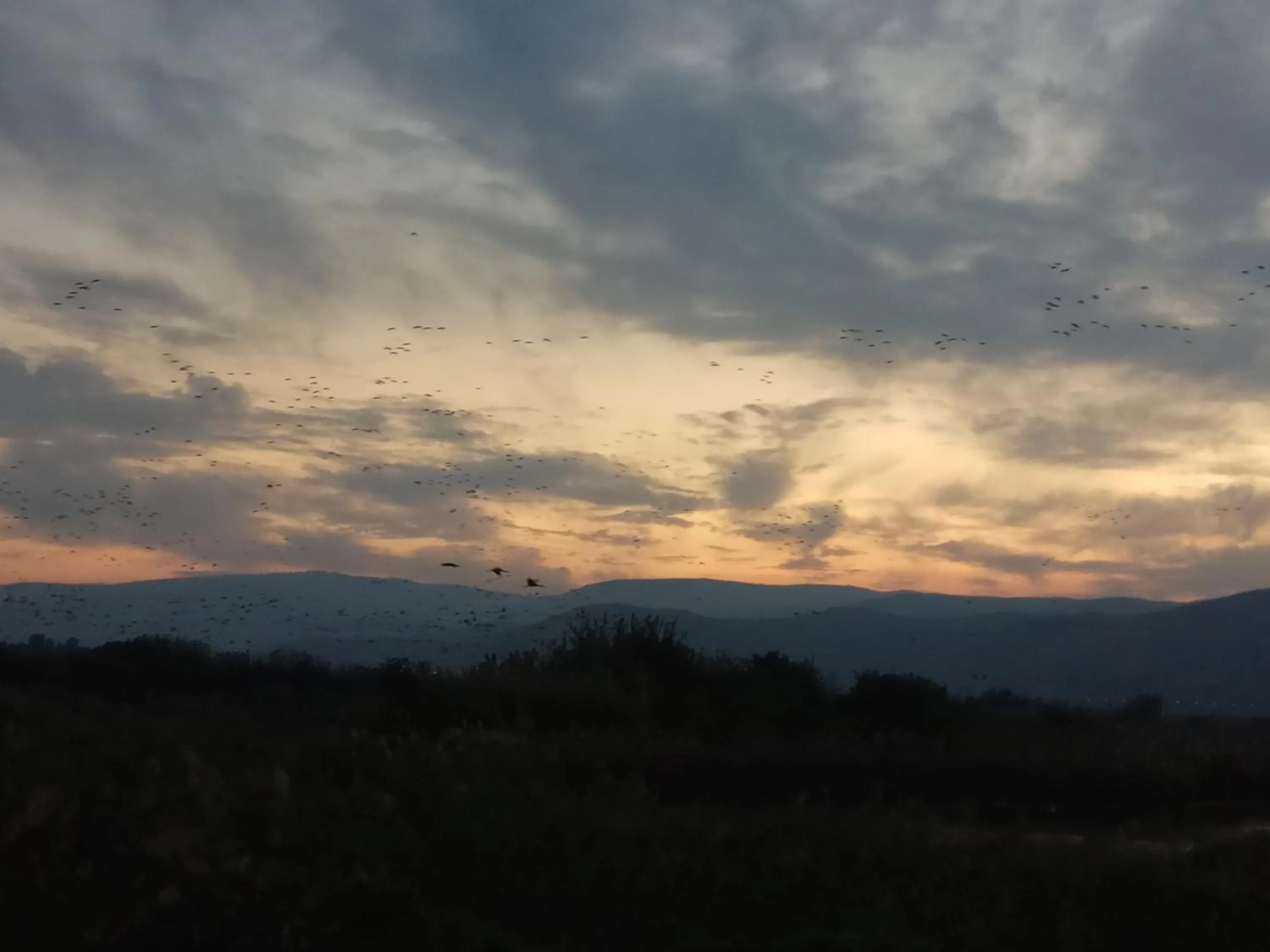 Natural landscape in Orna's Corner