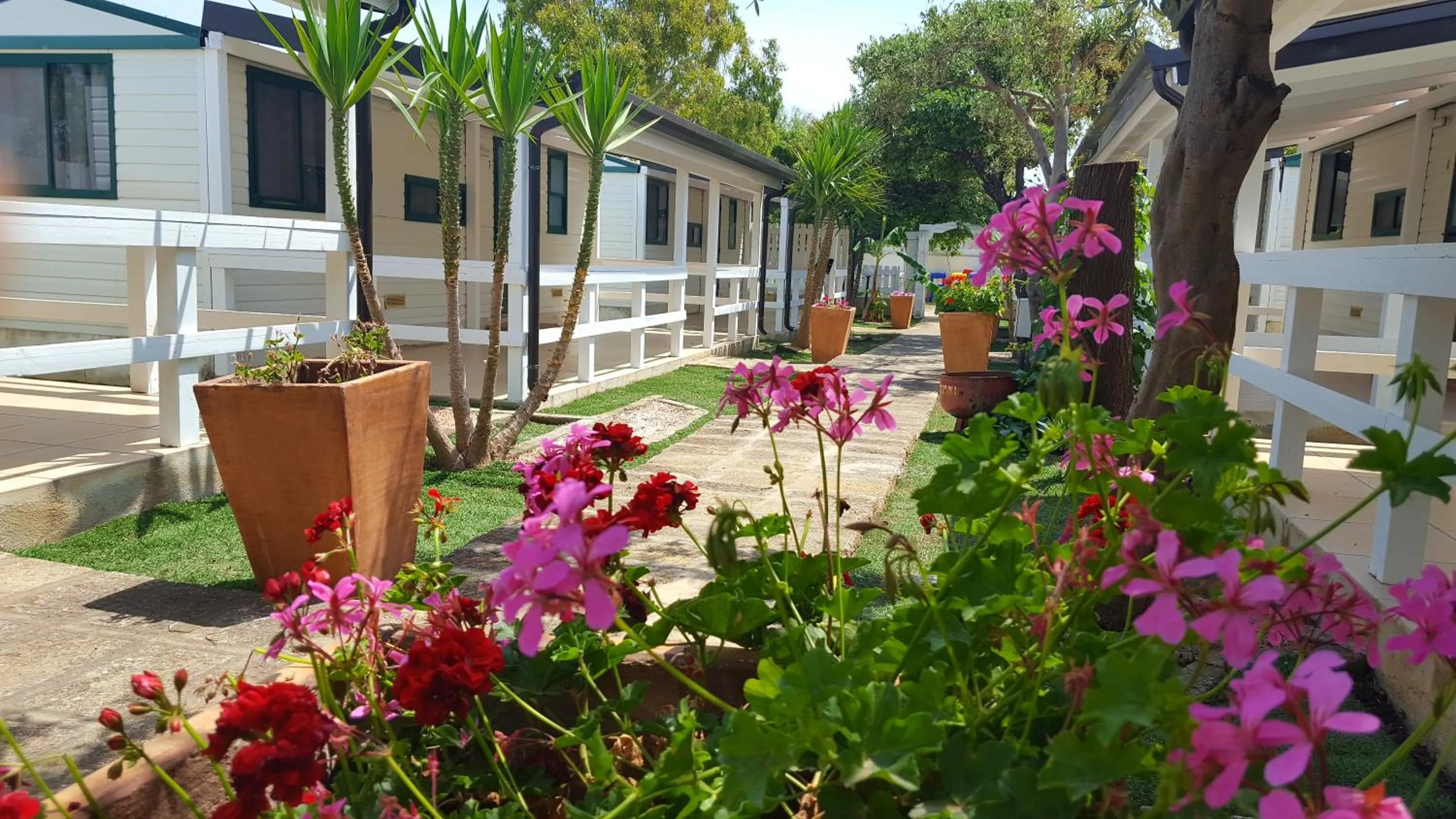 View (from property/room) in Residence "Il Faro"