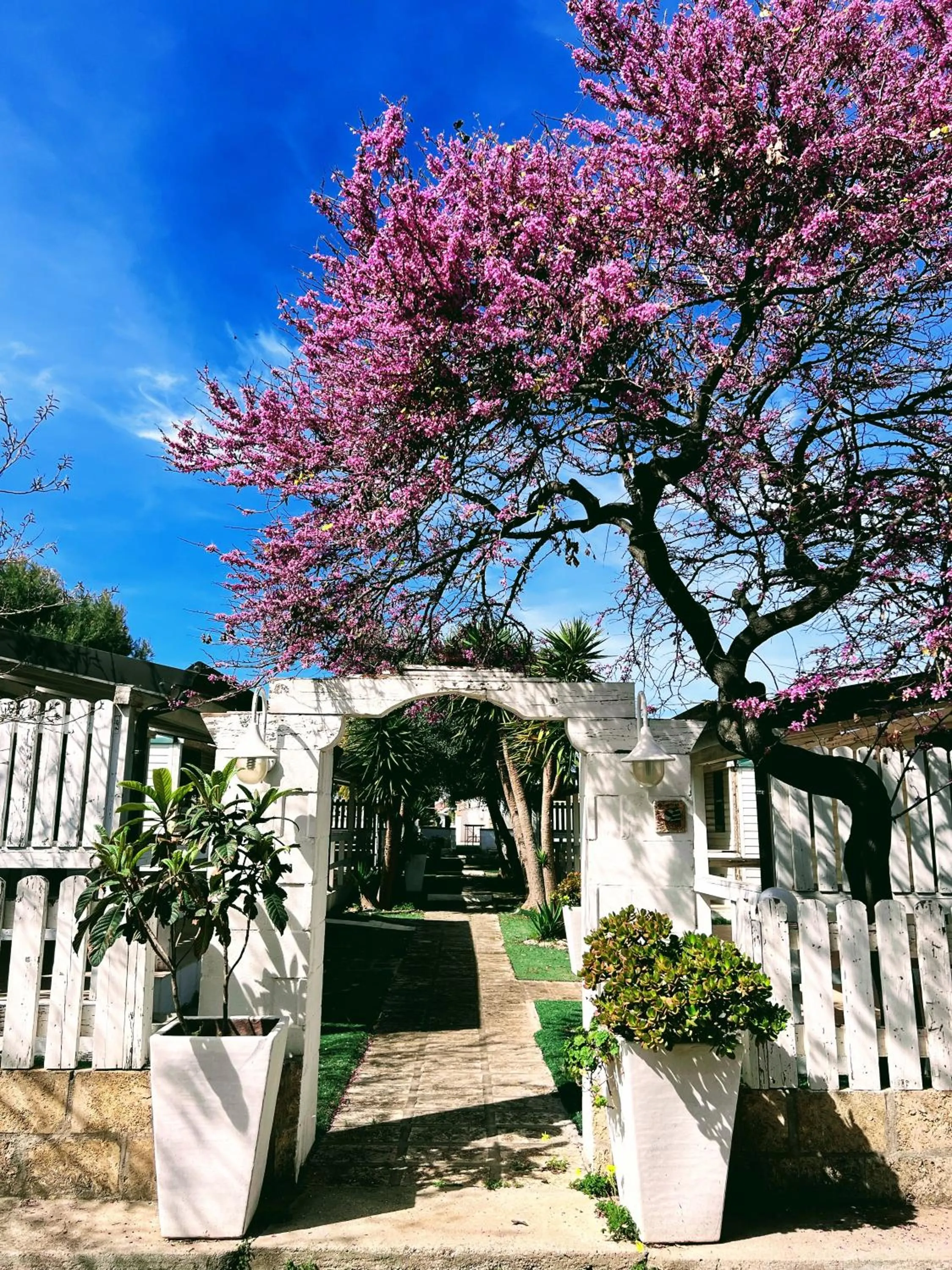 Garden view in Residence "Il Faro"