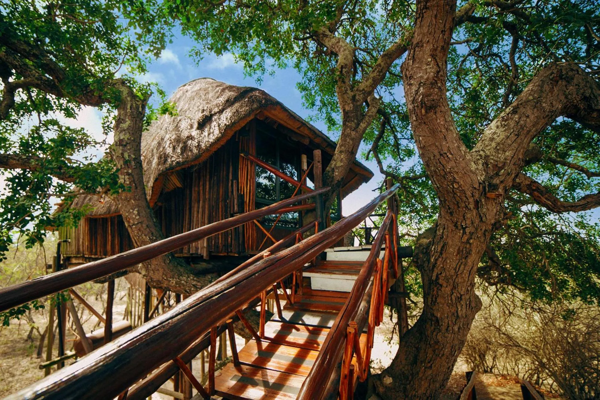 Balcony/Terrace in Pezulu Tree House Lodge