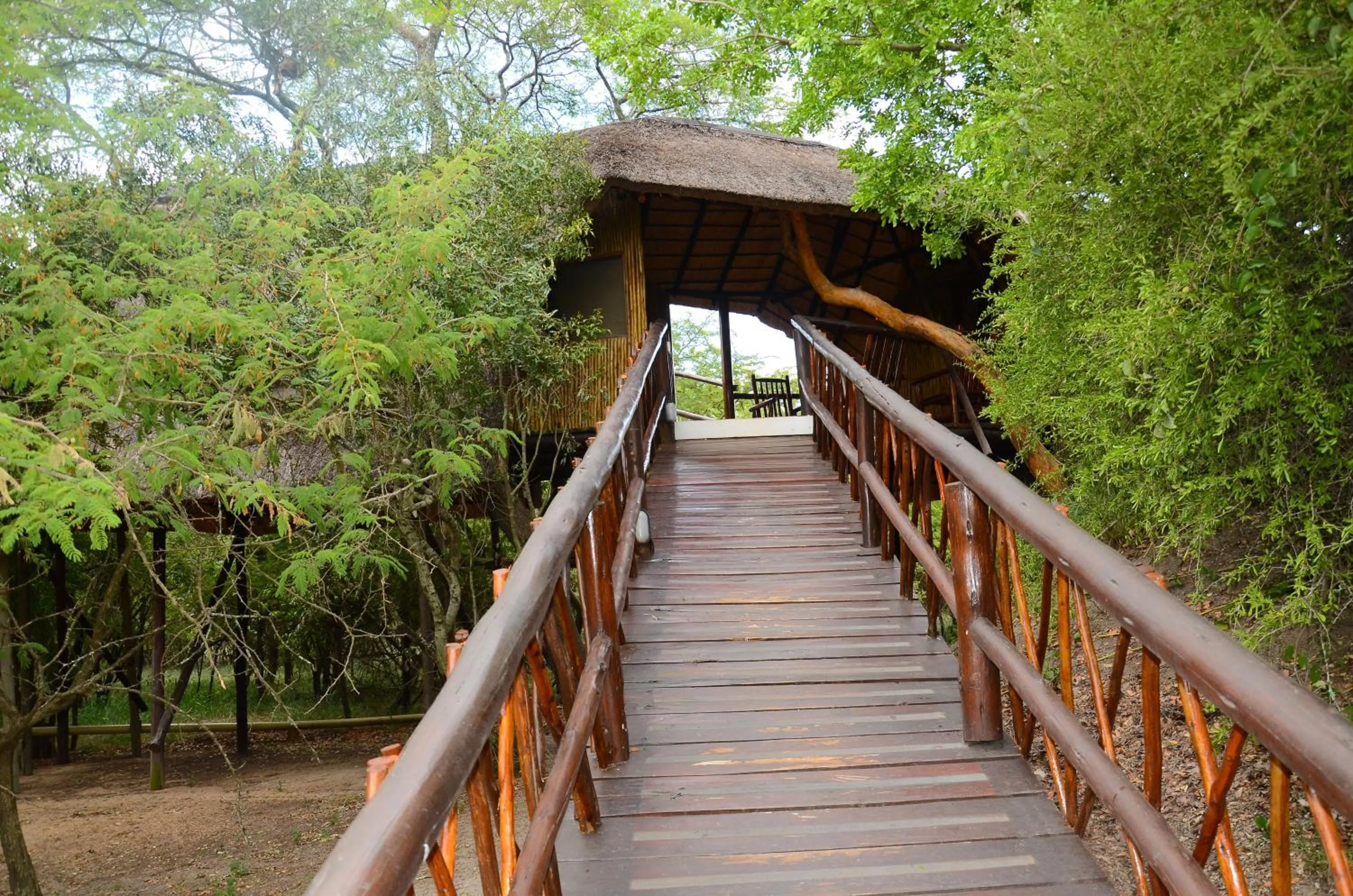 Patio in Pezulu Tree House Lodge