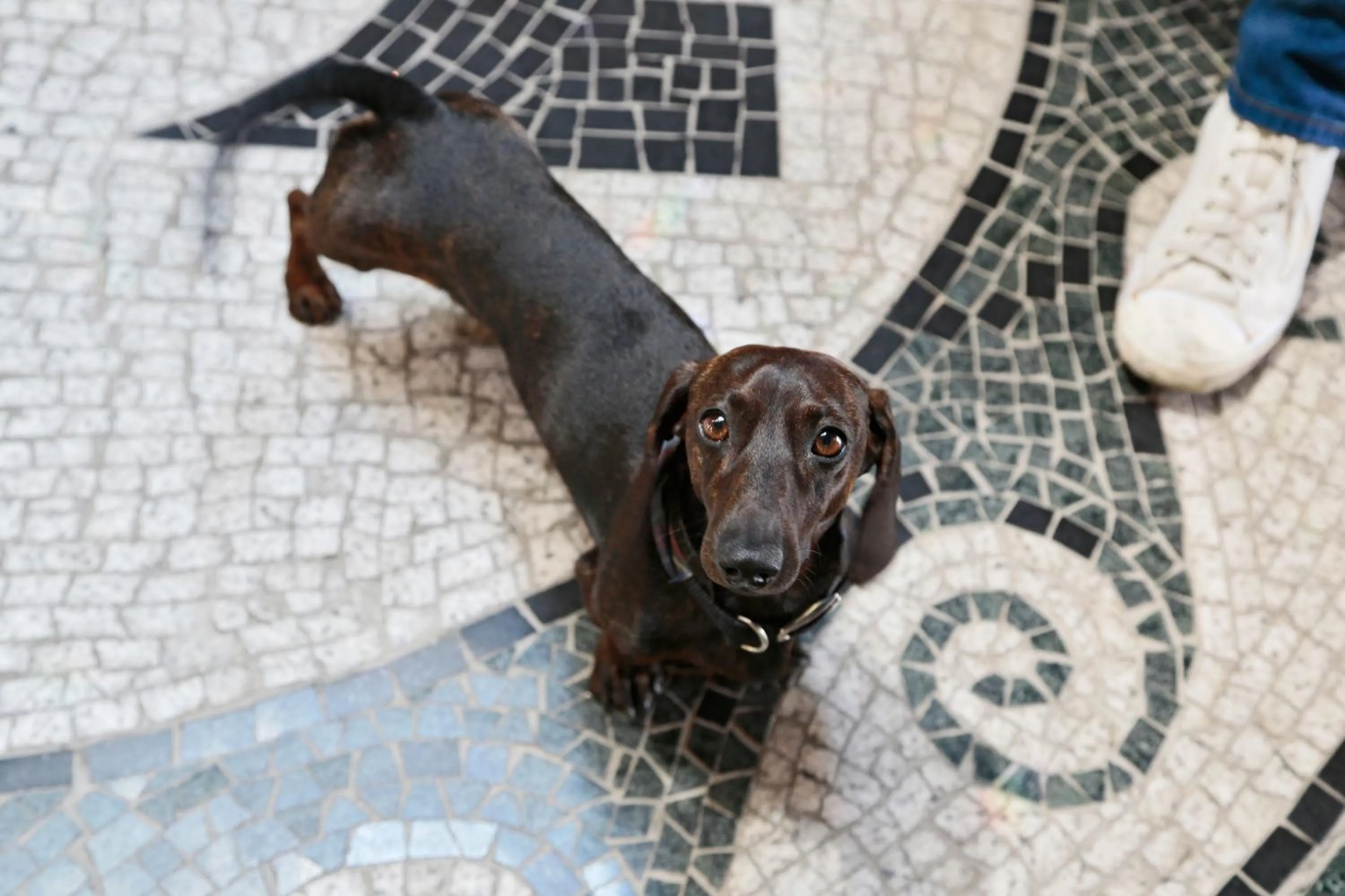 Lobby or reception in Design Hotel Miramonte