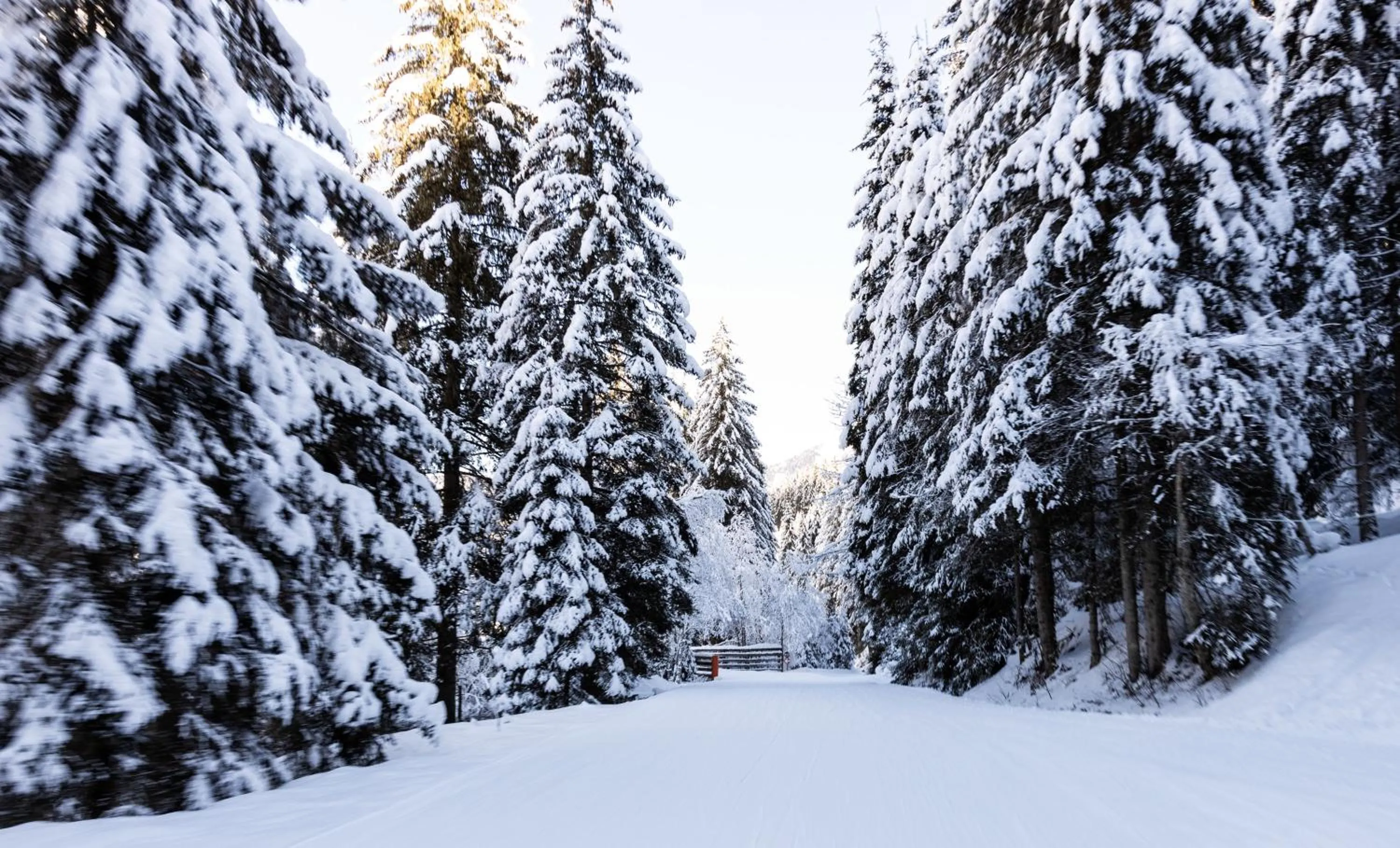 Winter in Design Hotel Miramonte