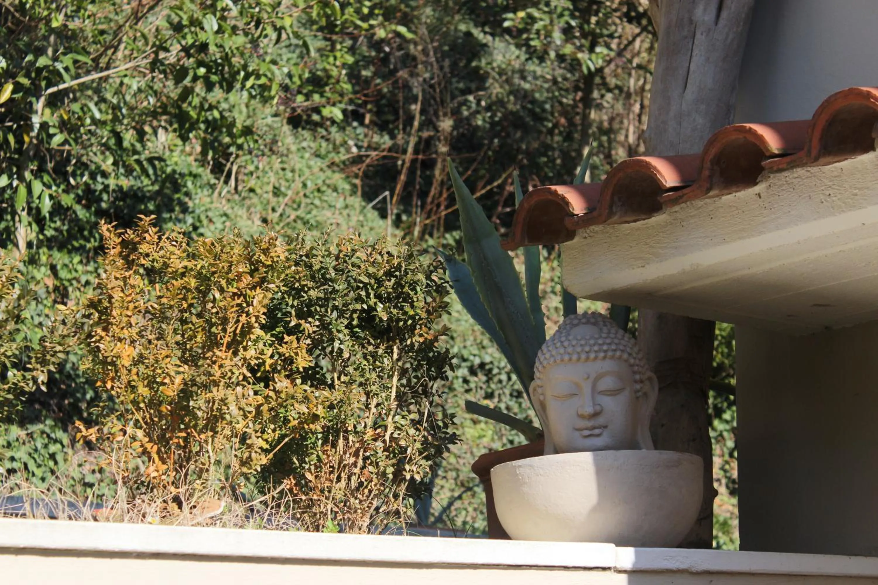 Decorative detail in Home Meditamondo