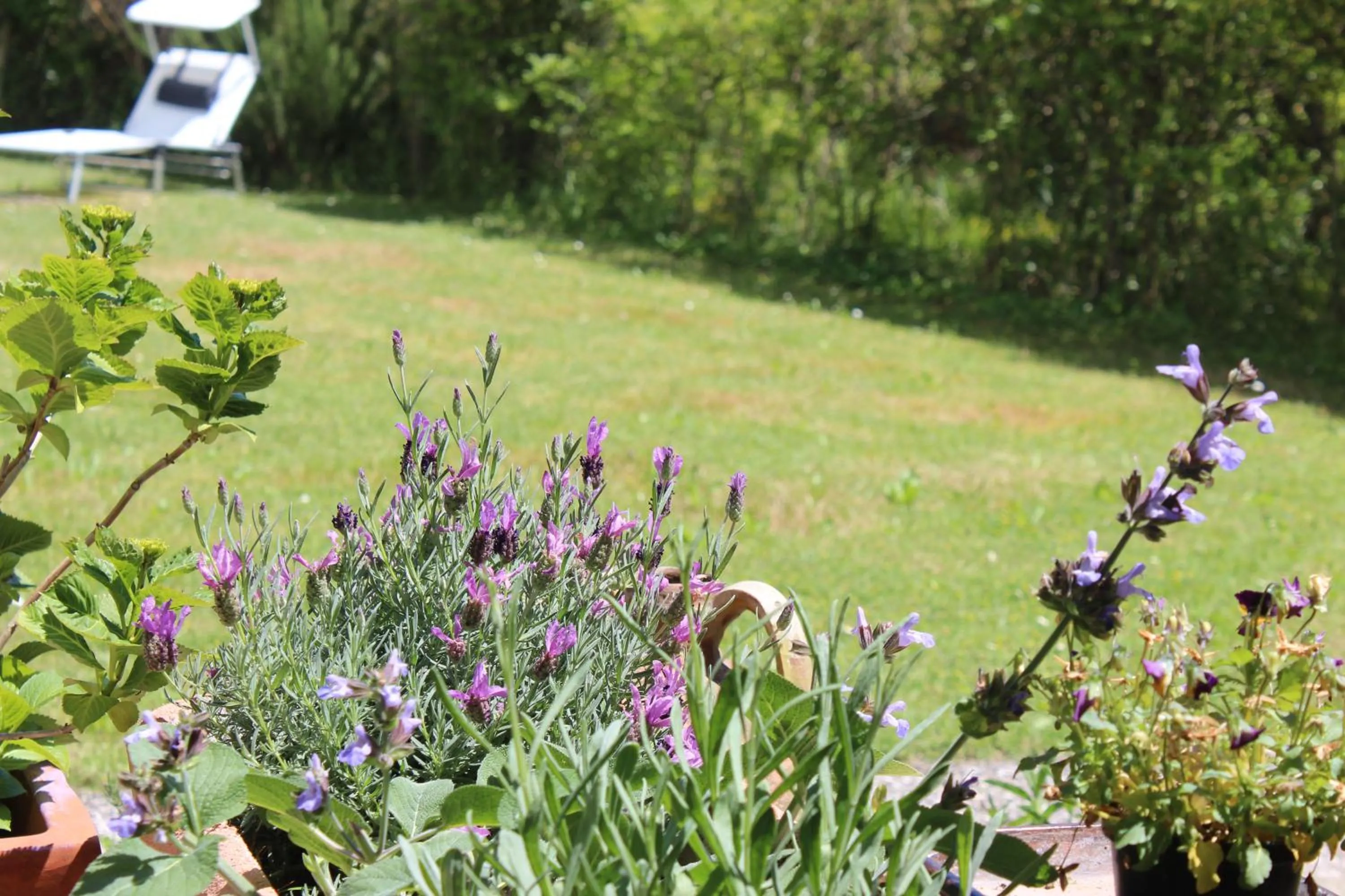 Garden in Home Meditamondo