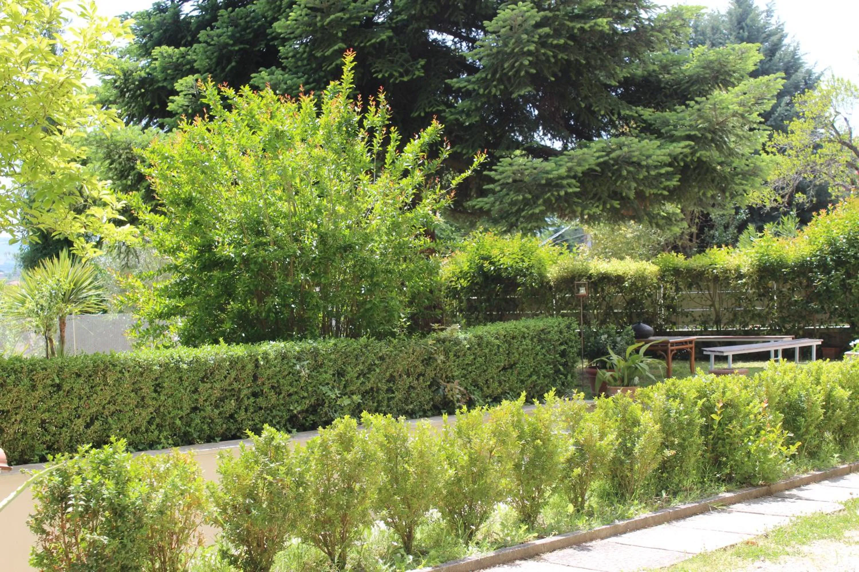 Garden in Home Meditamondo
