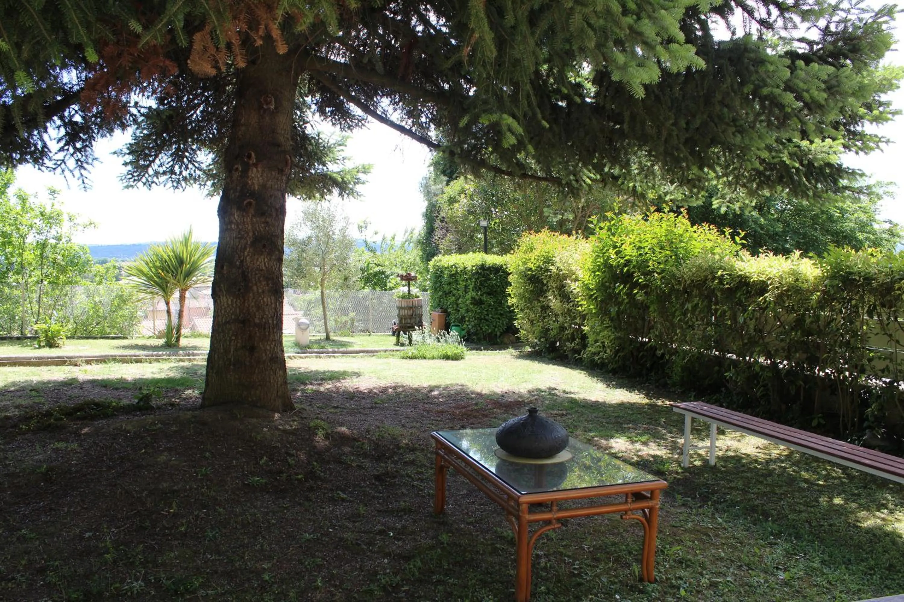 Garden in Home Meditamondo