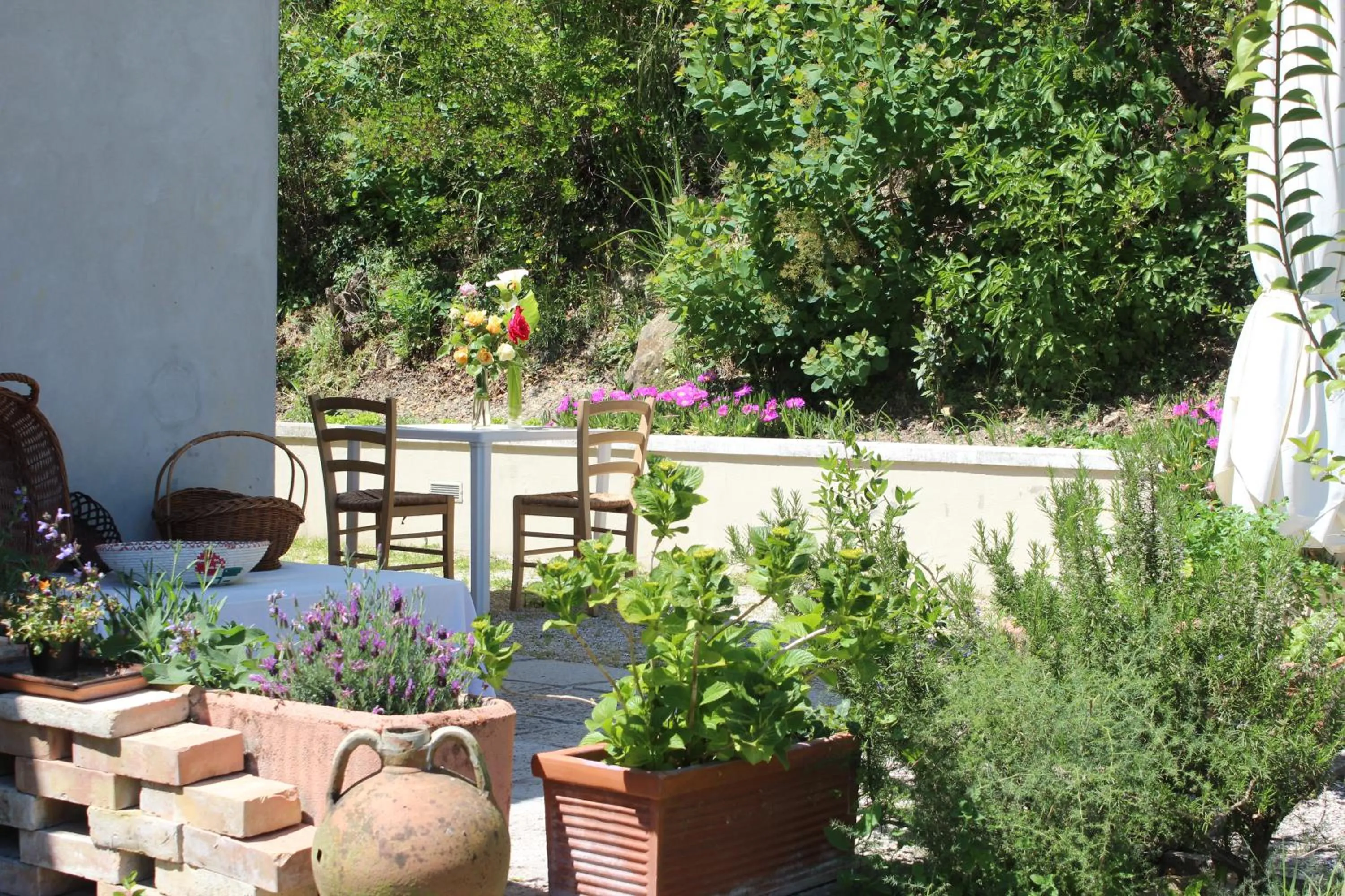 Garden in Home Meditamondo