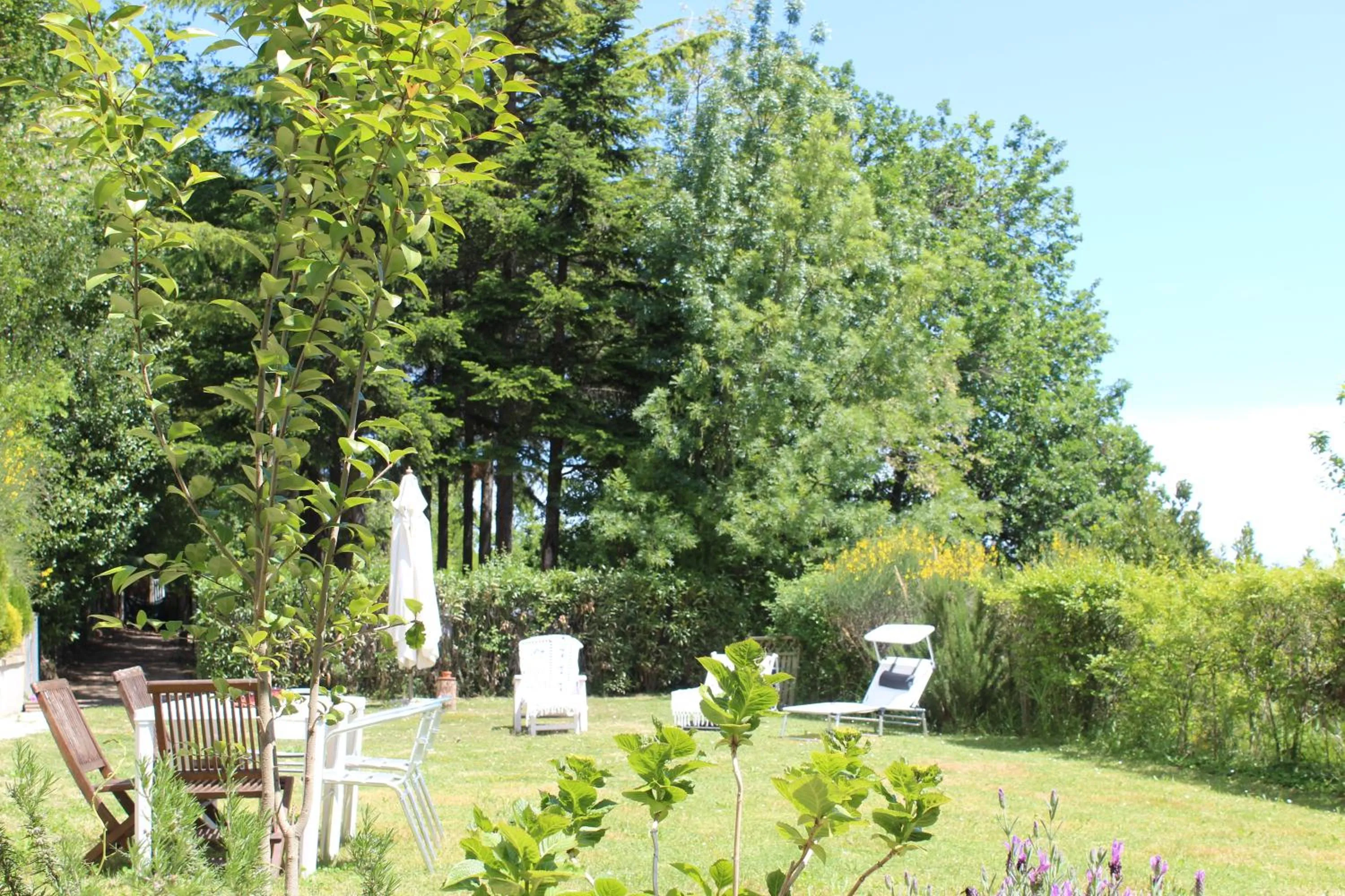 Garden in Home Meditamondo