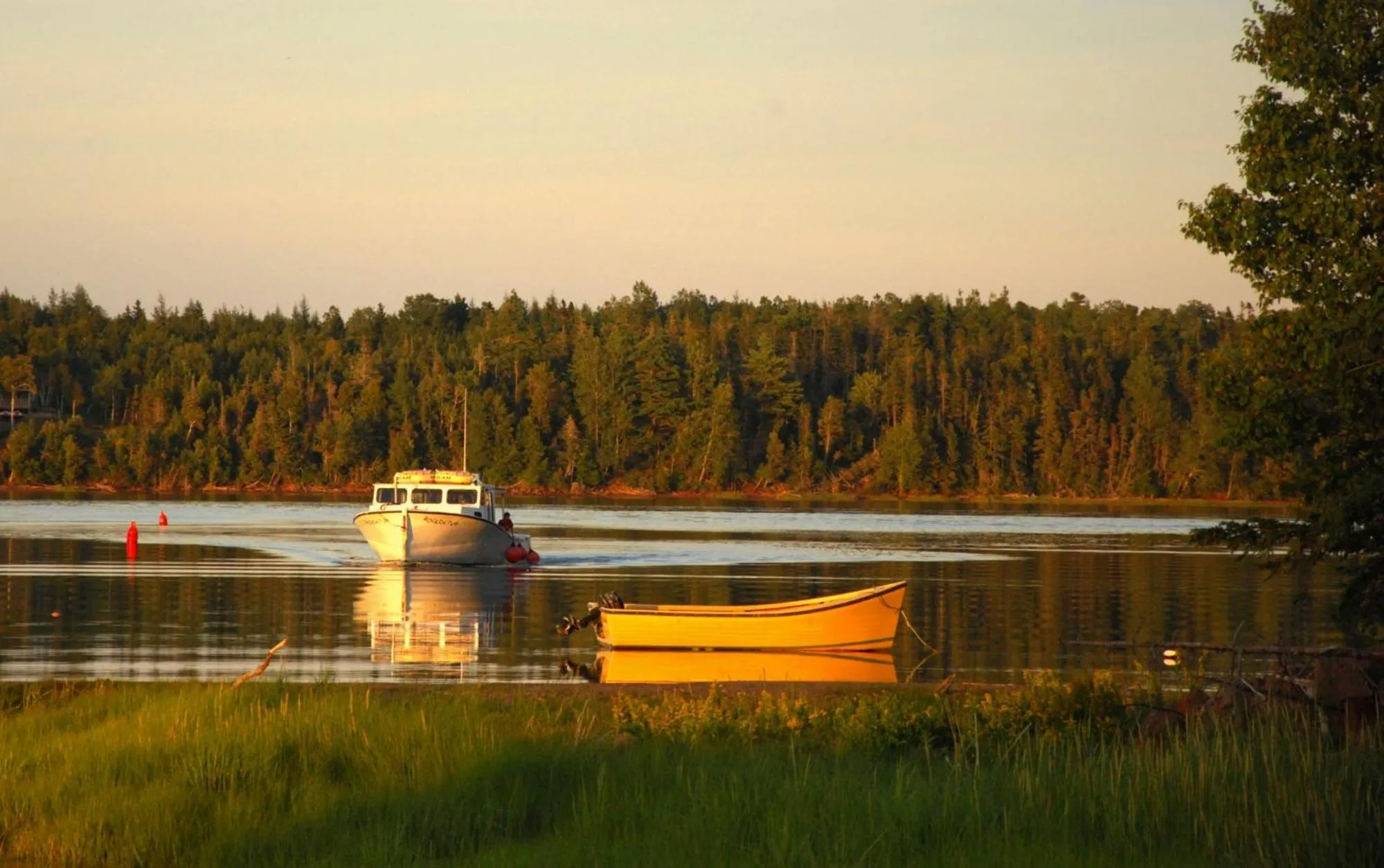 Natural landscape in Waterside Apts.
