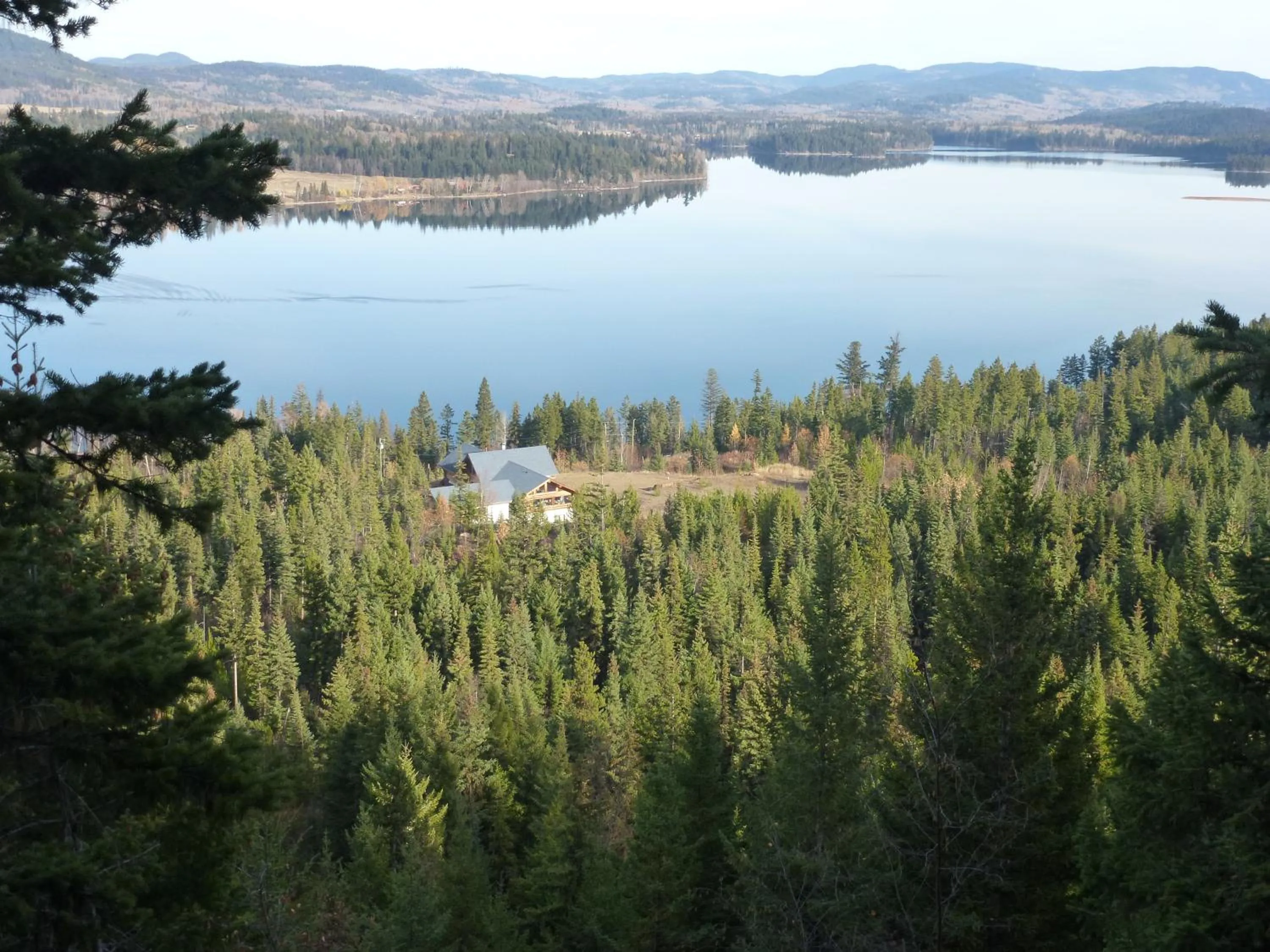 Little Black Bear Lodge/B&B