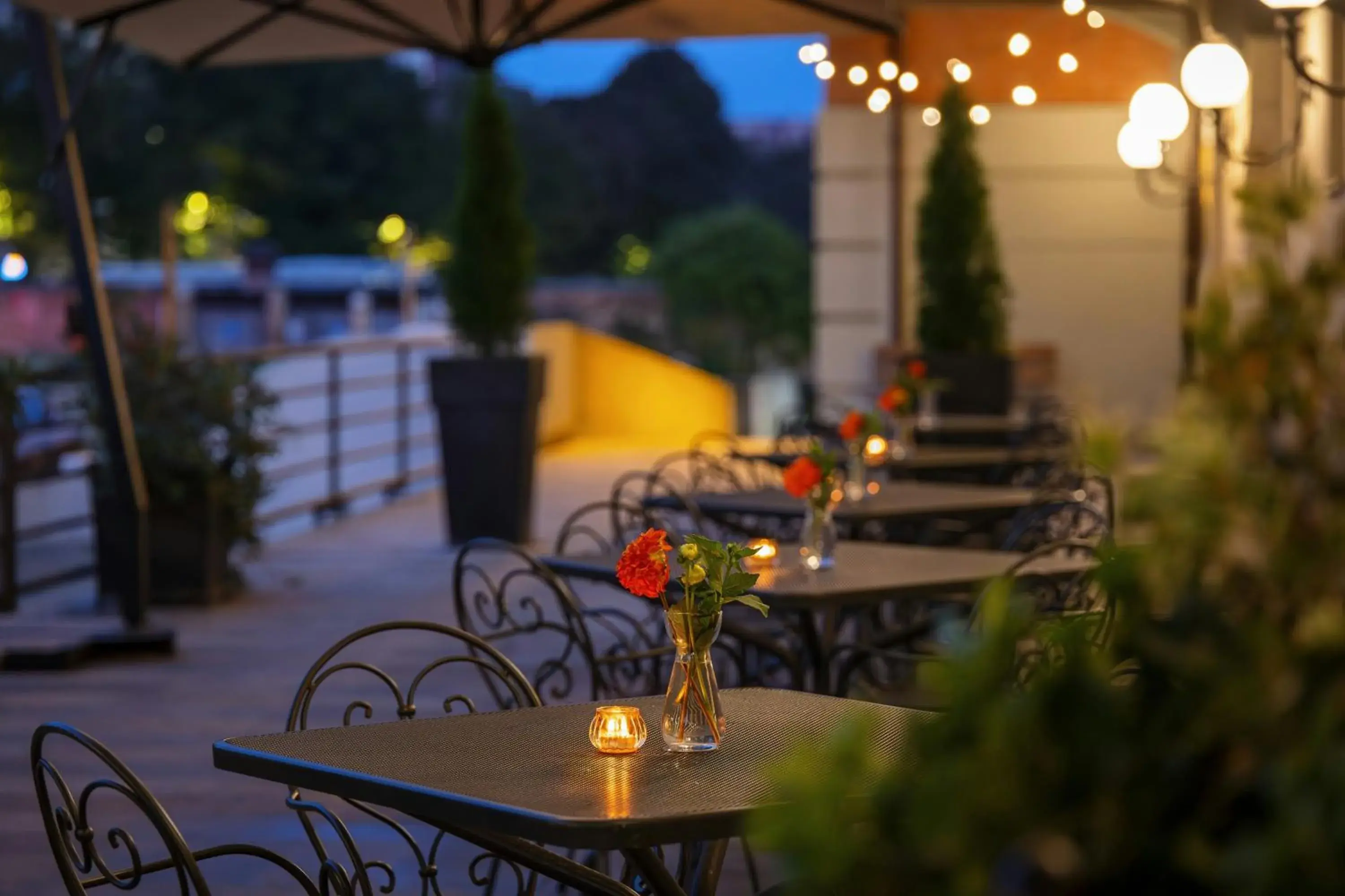 Starhotels Du Parc Starhotels Du Parc