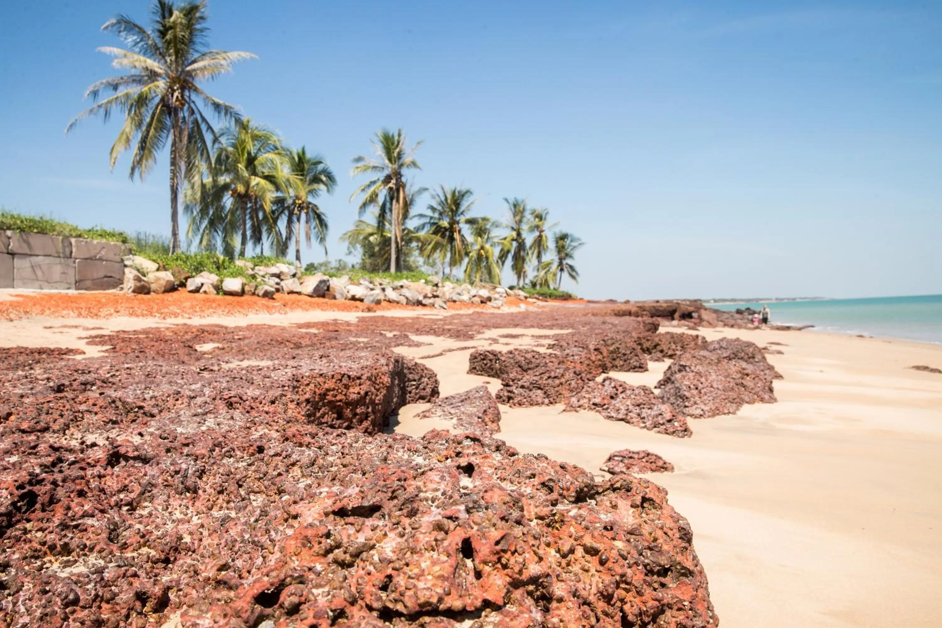 Natural landscape in Skippers at Dundee