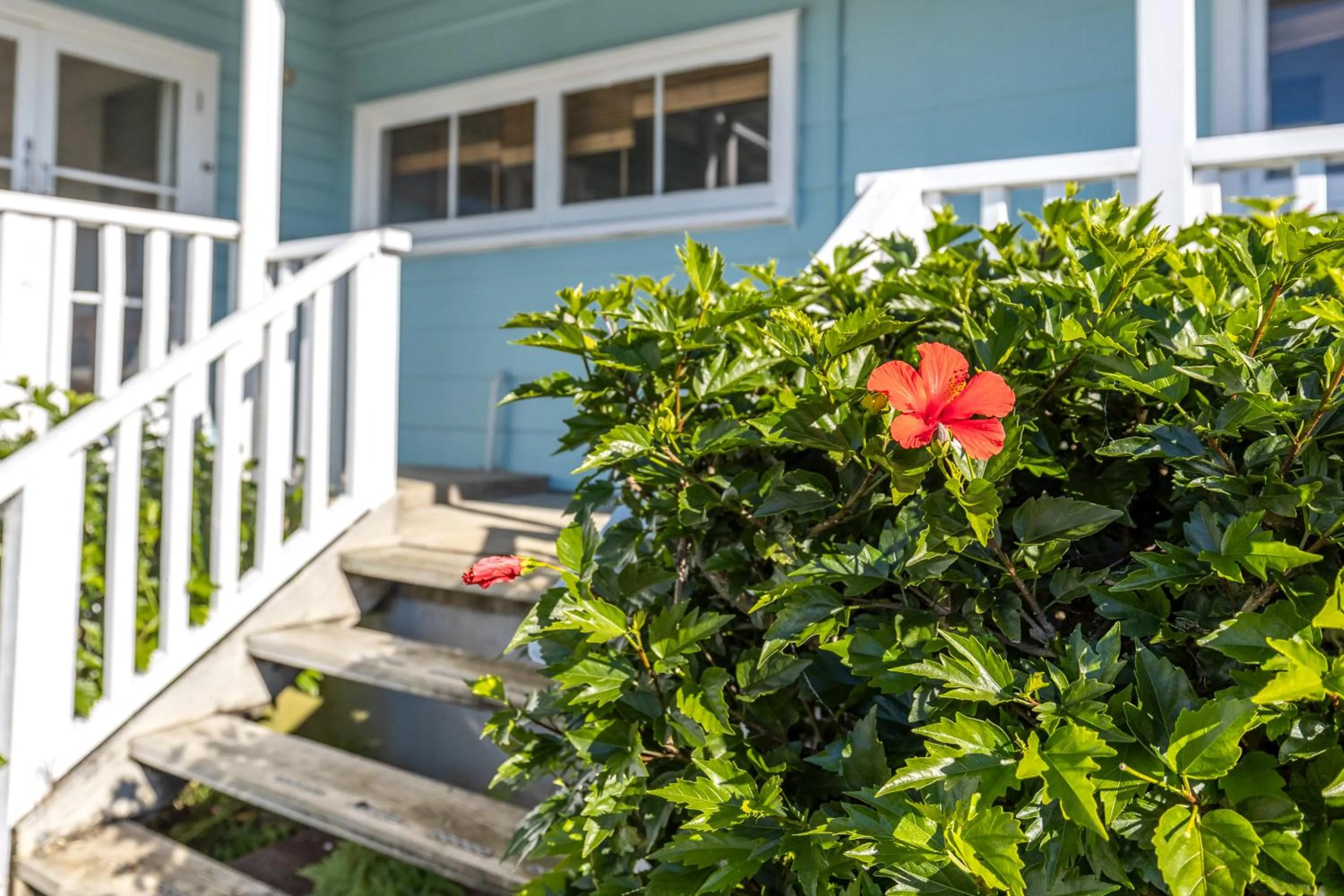 Waiheke Island Motel