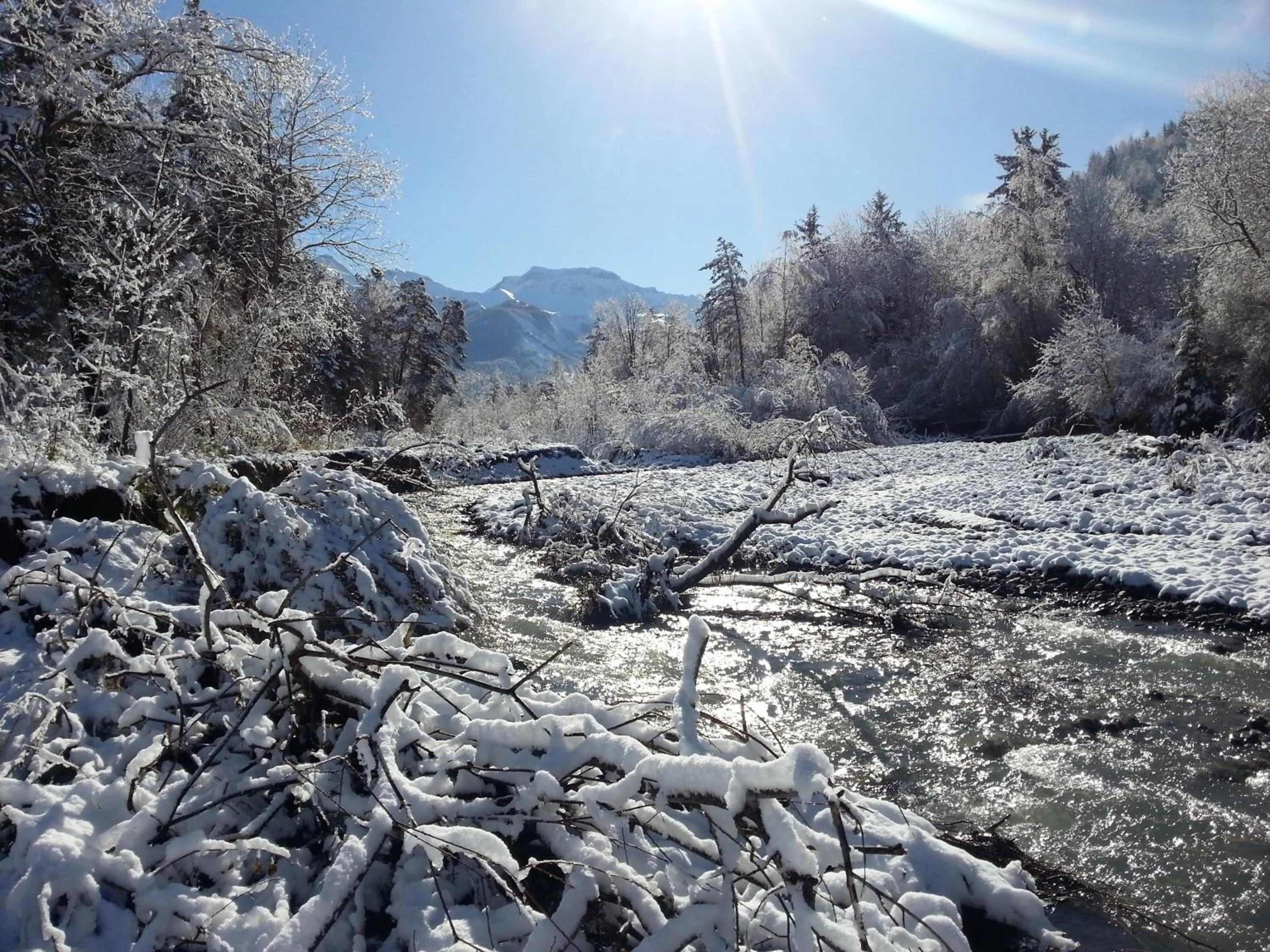 Day in Le Vieux Tilleul