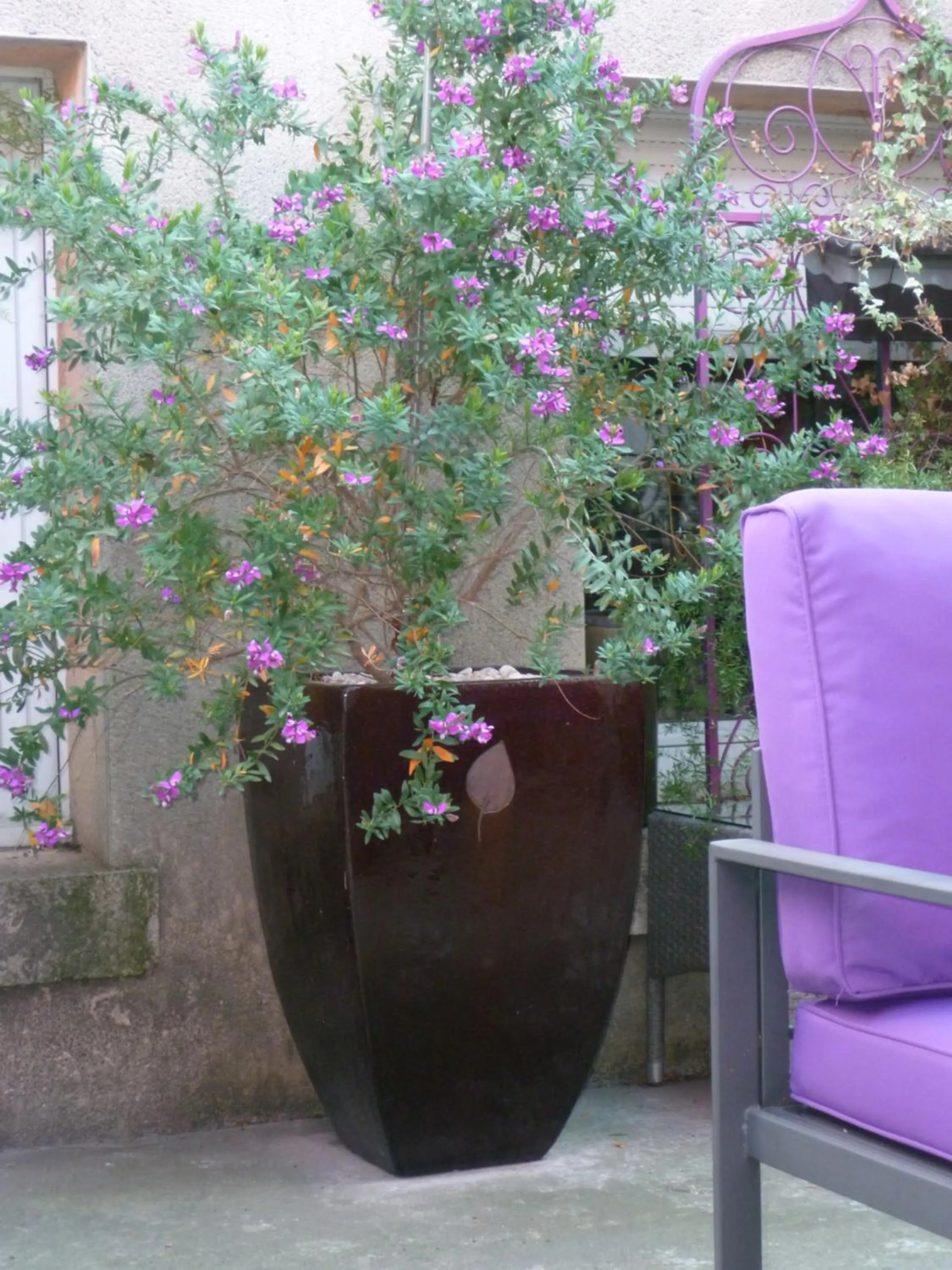 Decorative detail in La Pergola