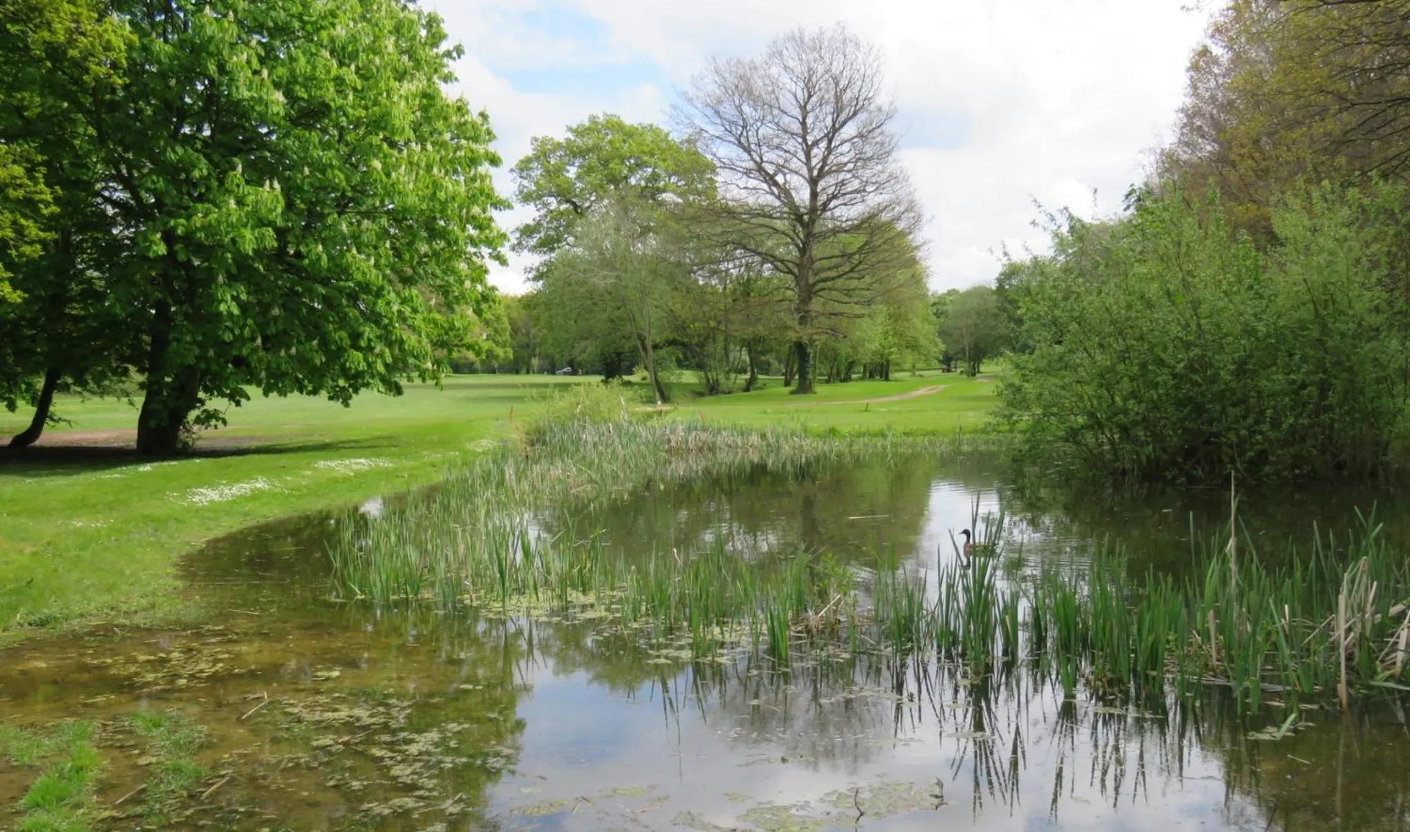 Golfcourse in Manor Of Groves Hotel, Golf & Health Club