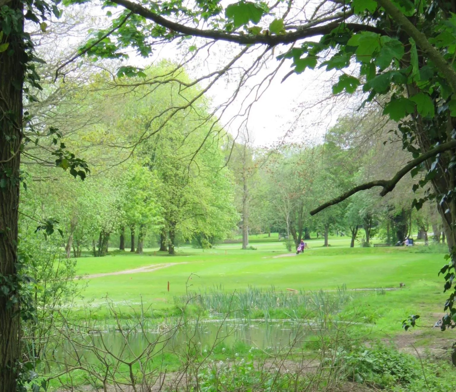 Golfcourse in Manor Of Groves Hotel, Golf & Health Club