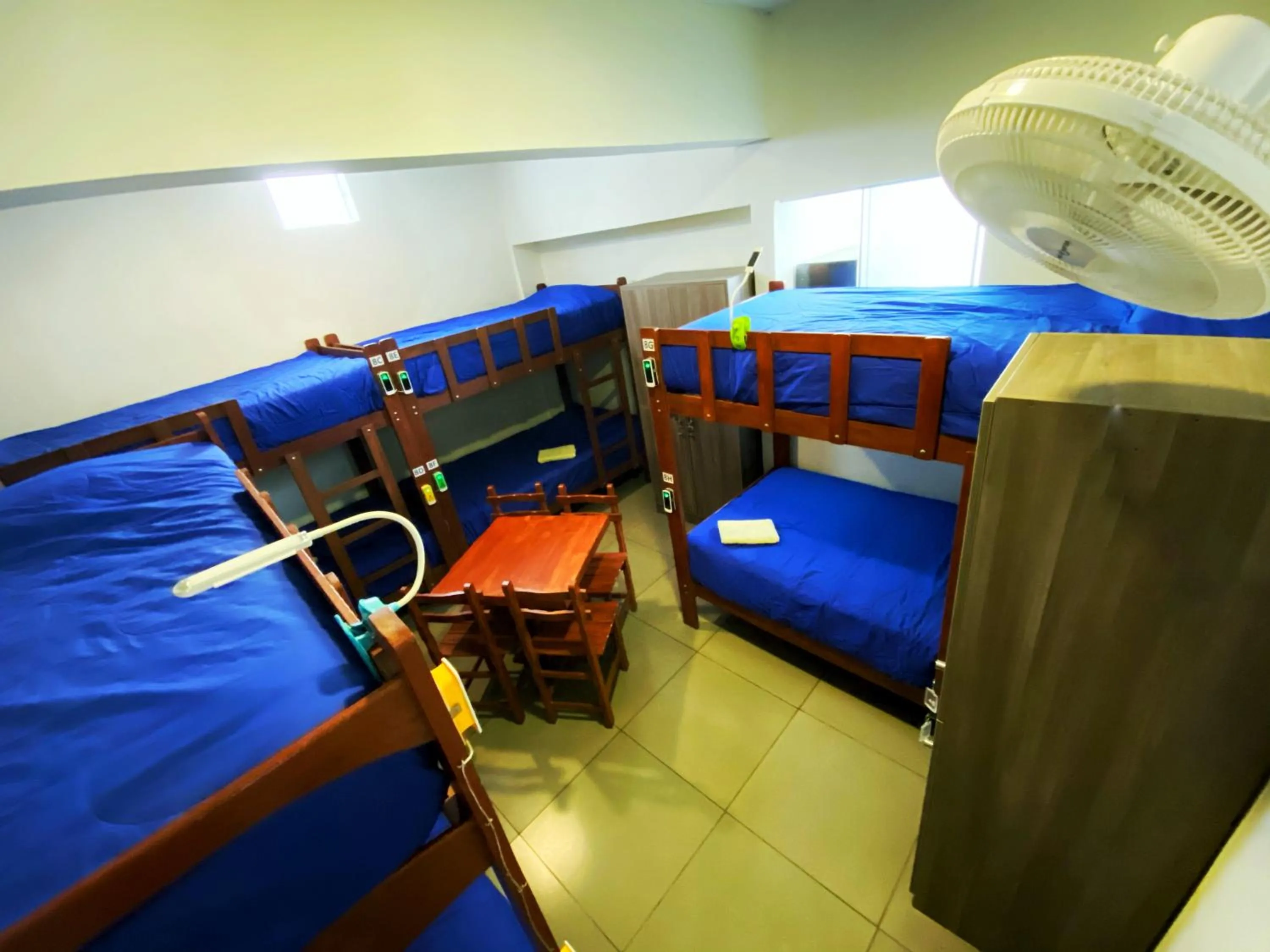 bunk bed, Bed in Lima House Hostel