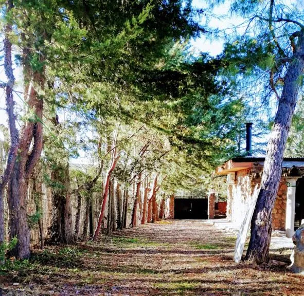 La Cabaña de Piedra