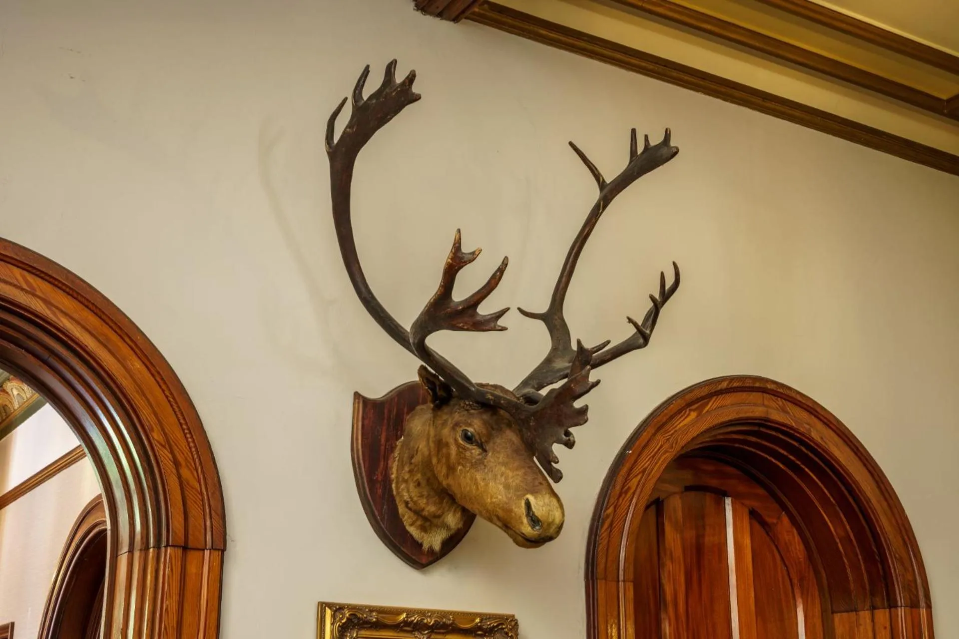 Decorative detail in Macdonald Kilhey Court Hotel
