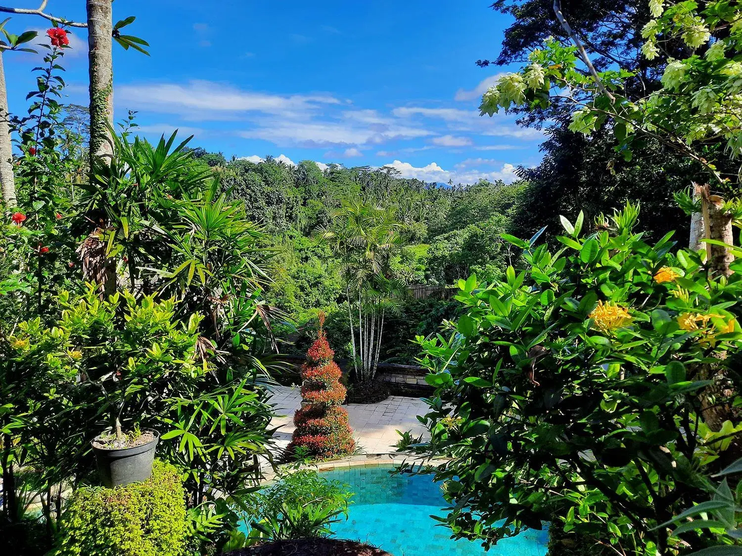Pool view in Alam Indah Ubud Pool view in Alam Indah Ubud