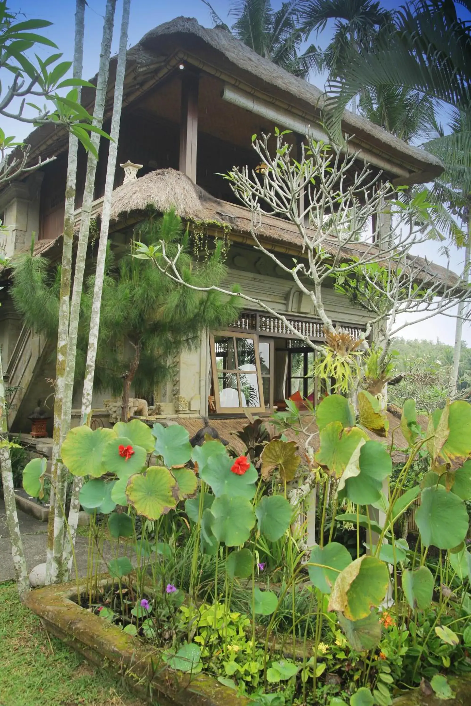 Property building in Alam Indah Ubud Property building in Alam Indah Ubud